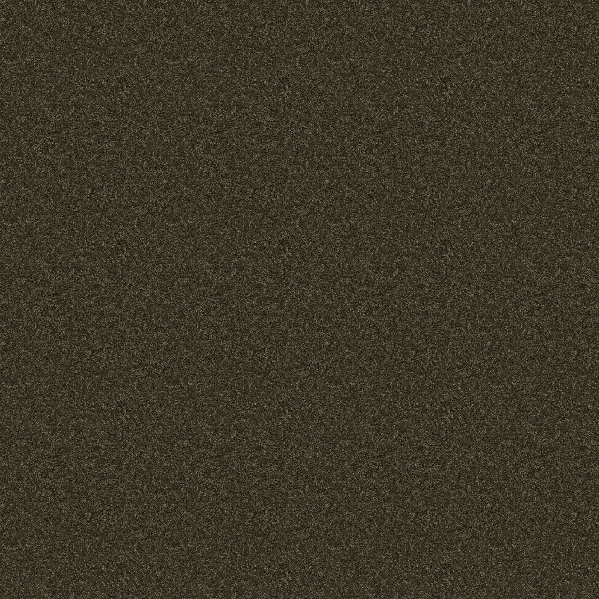 Elegant Beauty Carpet - Dark Olive Zoomed Swatch Image