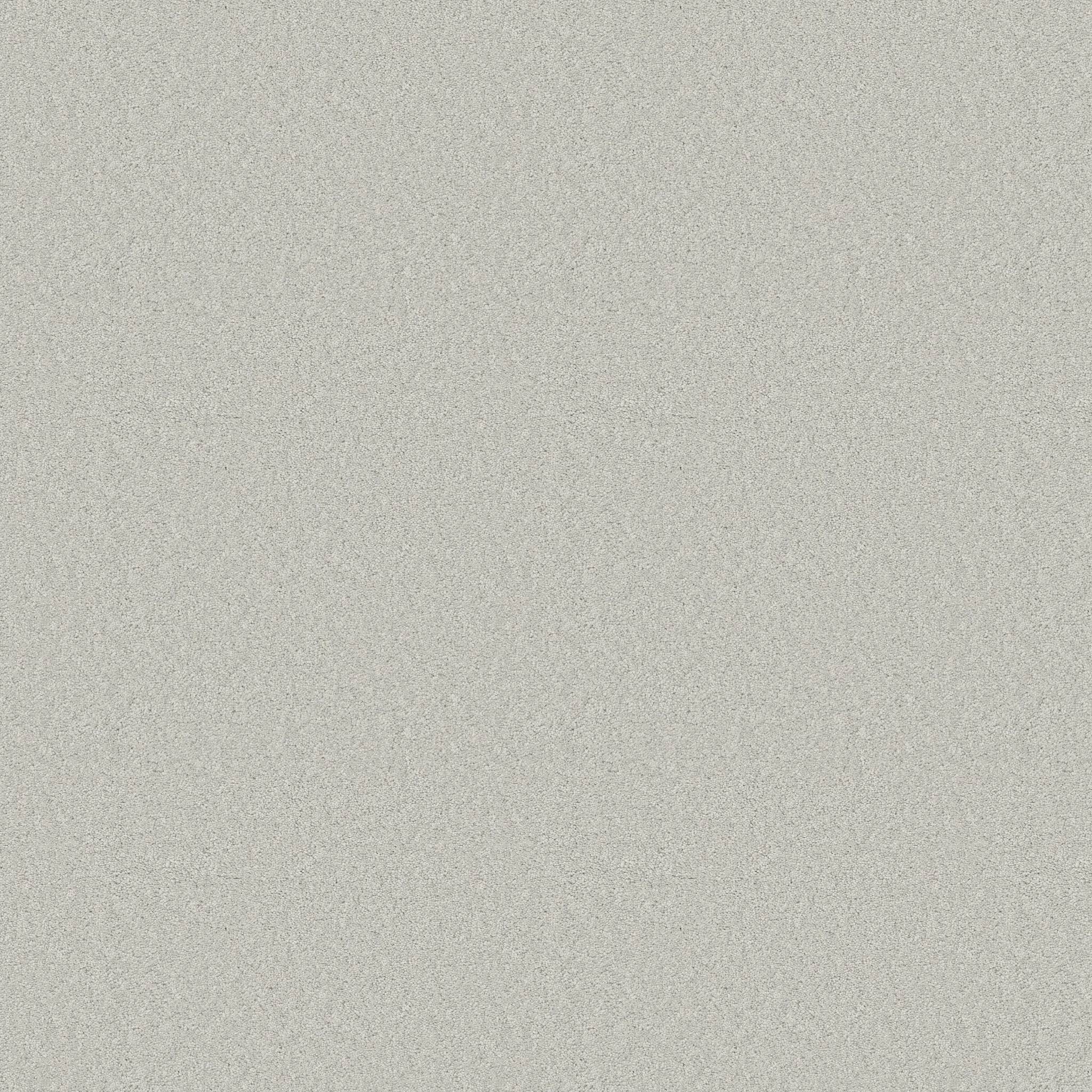 Elegant Beauty Carpet - Icy Morn Zoomed Swatch Image