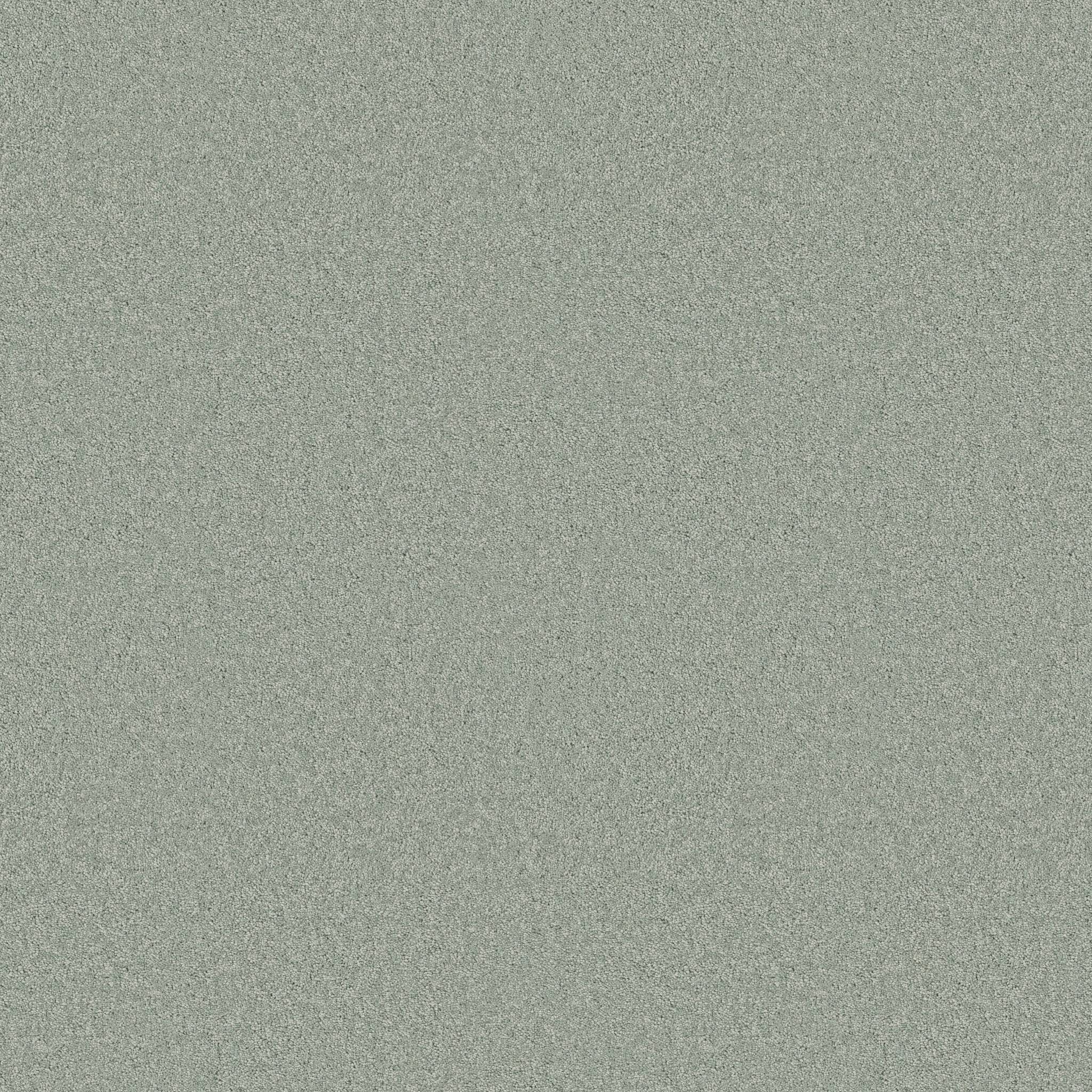 Elegant Beauty Carpet - Misty Jade Zoomed Swatch Image