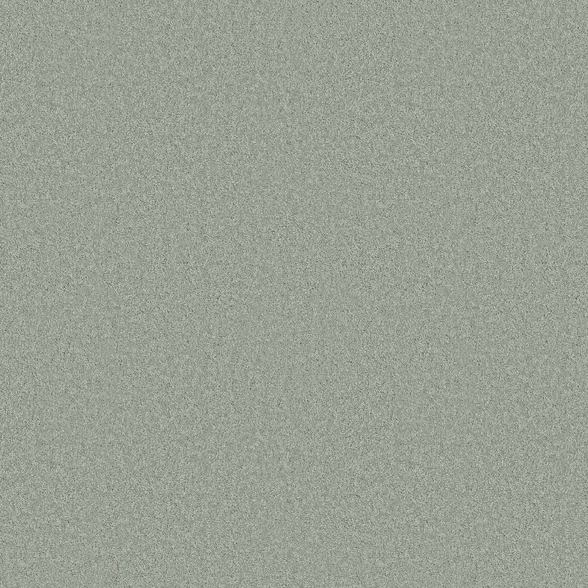 Elegant Beauty Carpet - Misty Jade Zoomed Swatch Image