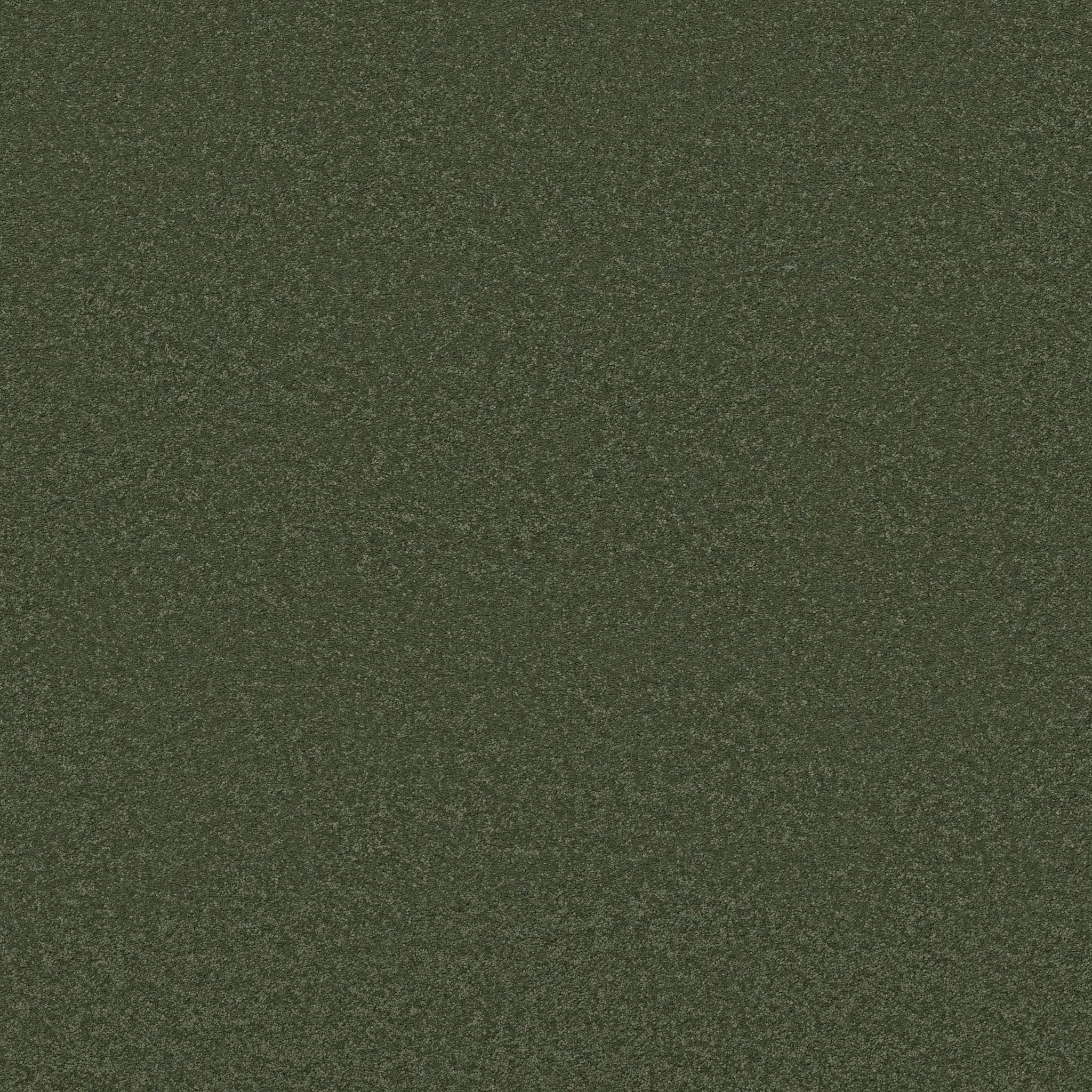 Elegant Beauty Carpet - Bereyl Zoomed Swatch Image
