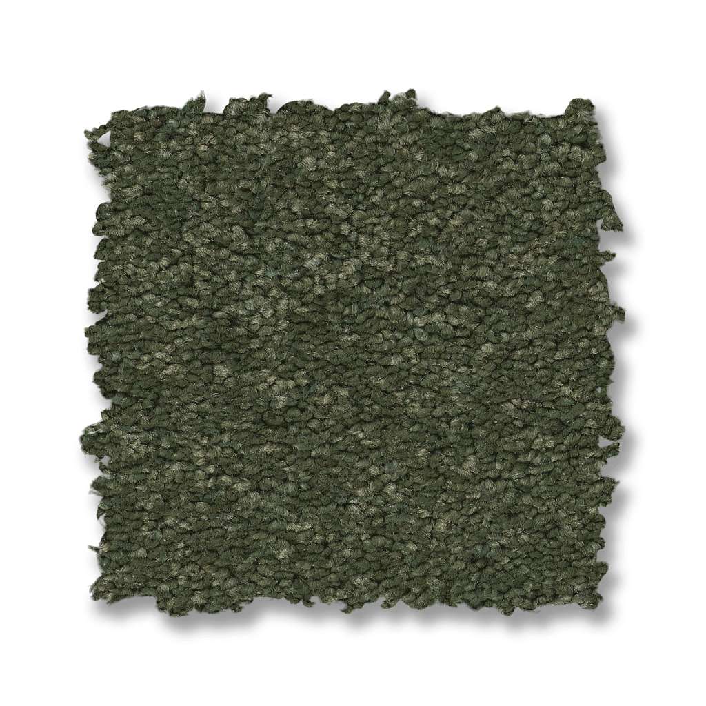 Elegant Beauty Carpet - Bereyl  Swatch Image 