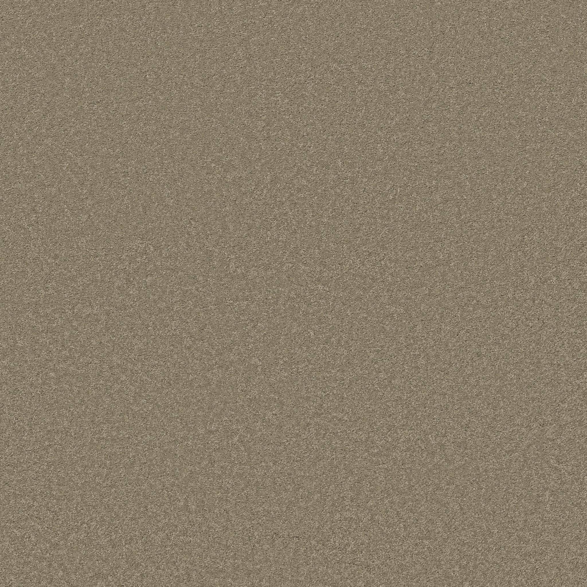 Elegant Beauty Carpet - Slate Zoomed Swatch Image