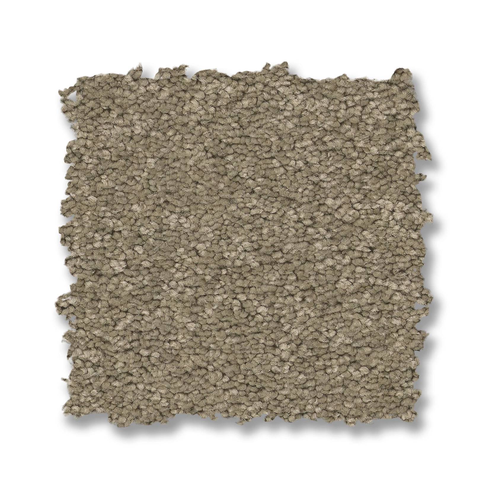 Elegant Beauty Carpet - Slate Swatch Thumbnail pupop1