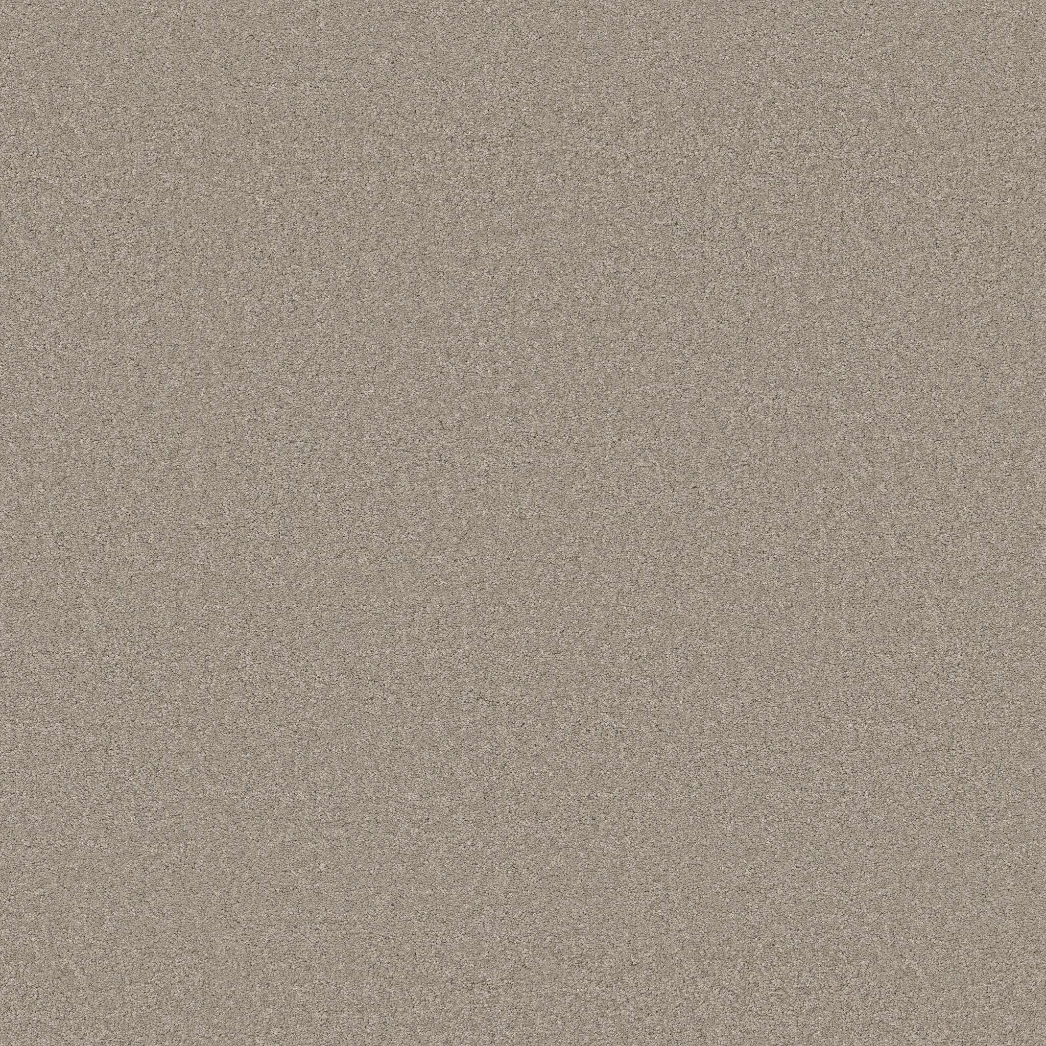 Elegant Beauty Carpet - String Zoomed Swatch Image
