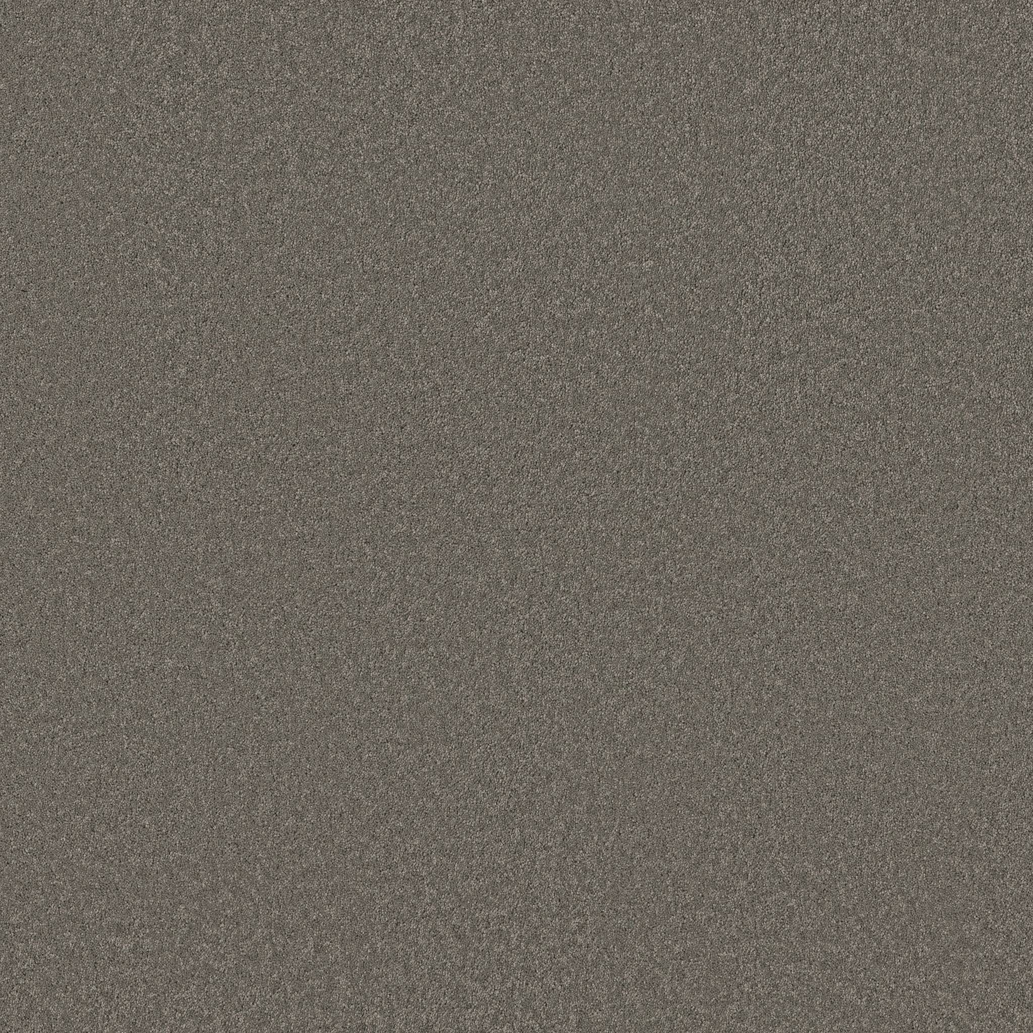 Elegant Beauty Carpet - Lunar Rock Zoomed Swatch Image