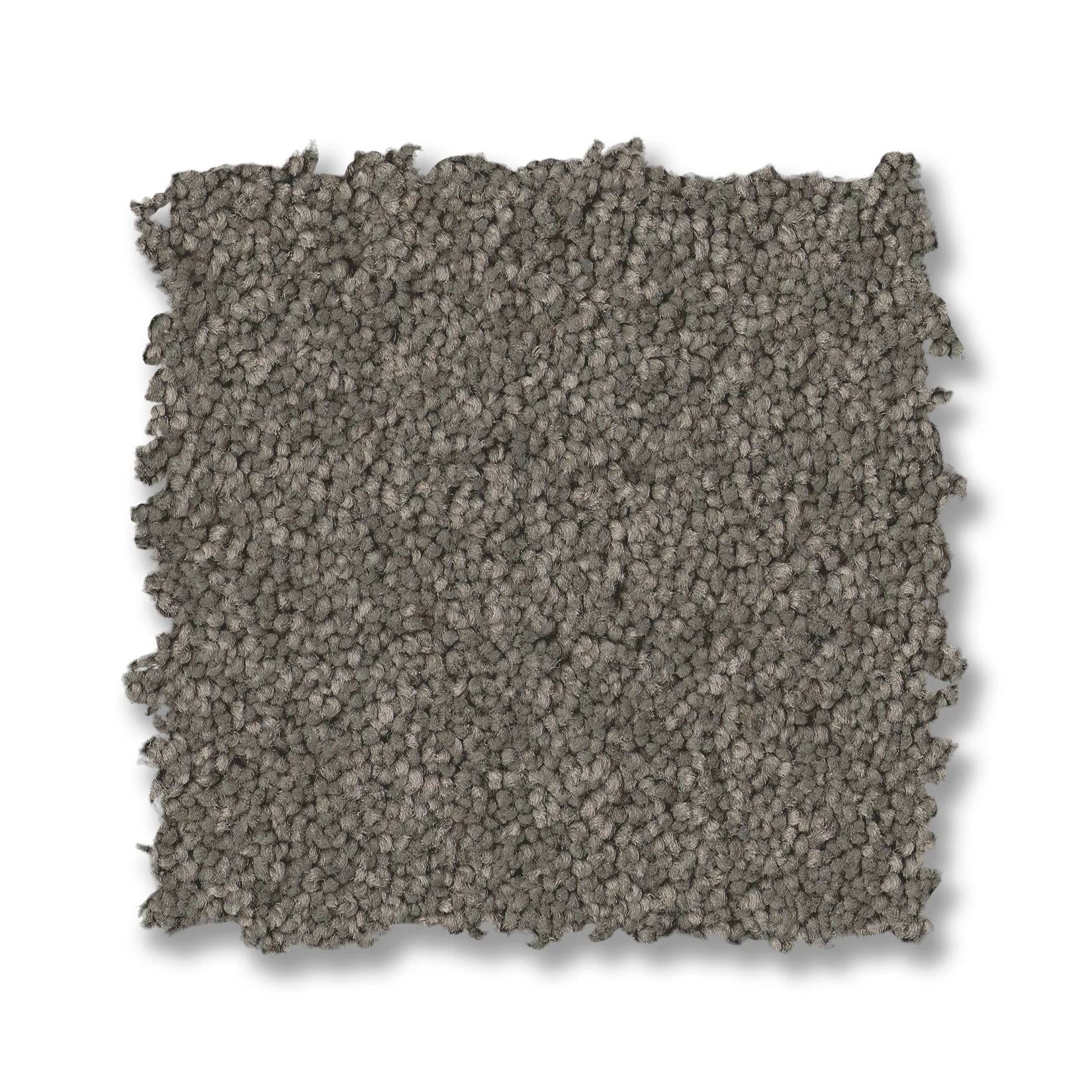 Elegant Beauty Carpet - Lunar Rock Swatch Thumbnail pupop1