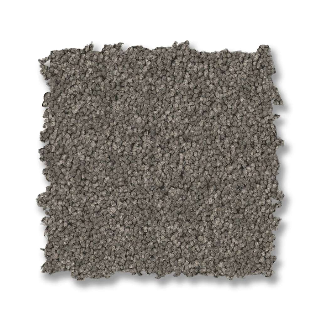 Elegant Beauty Carpet - Lunar Rock  Swatch Image 