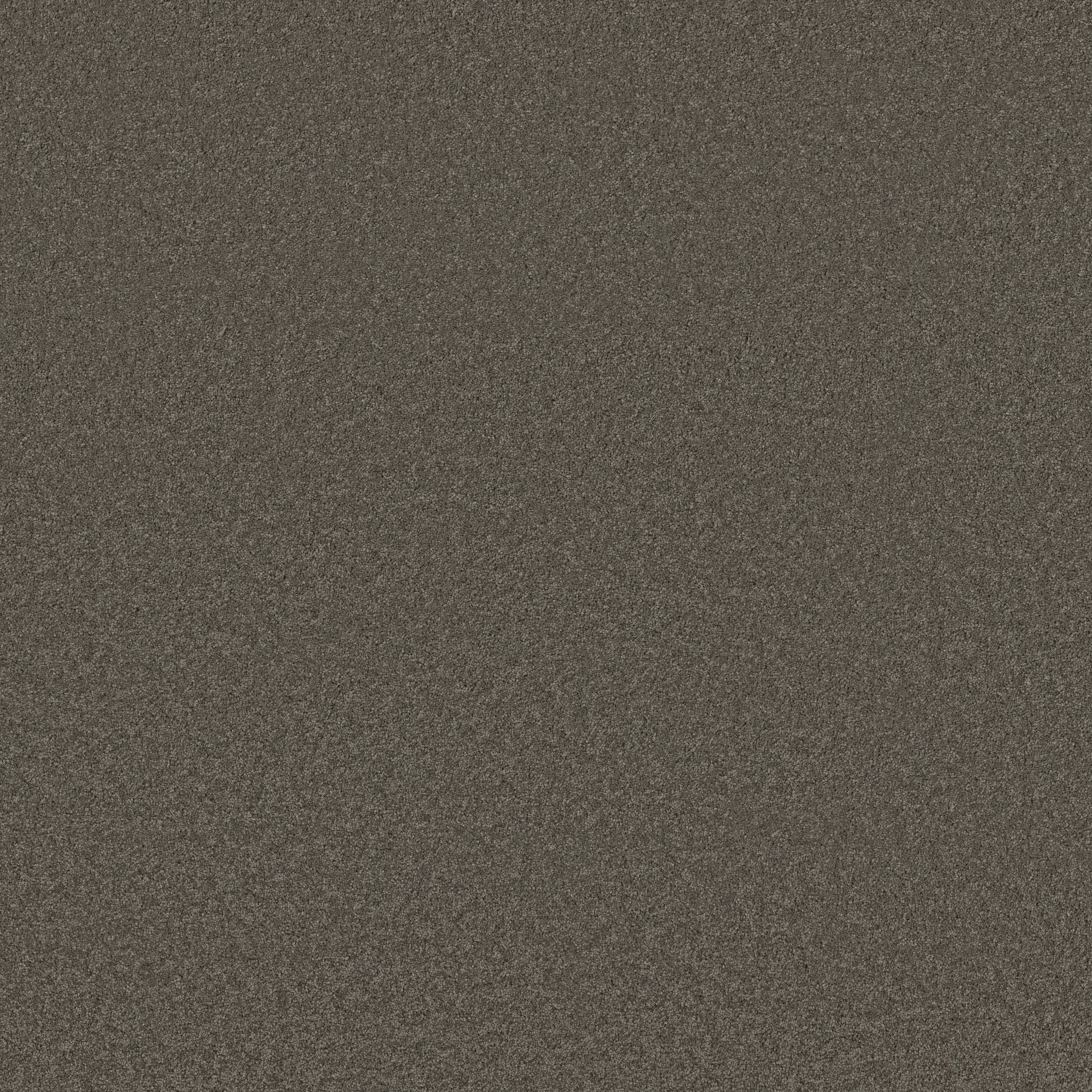 Elegant Beauty Carpet - Highrise Zoomed Swatch Image