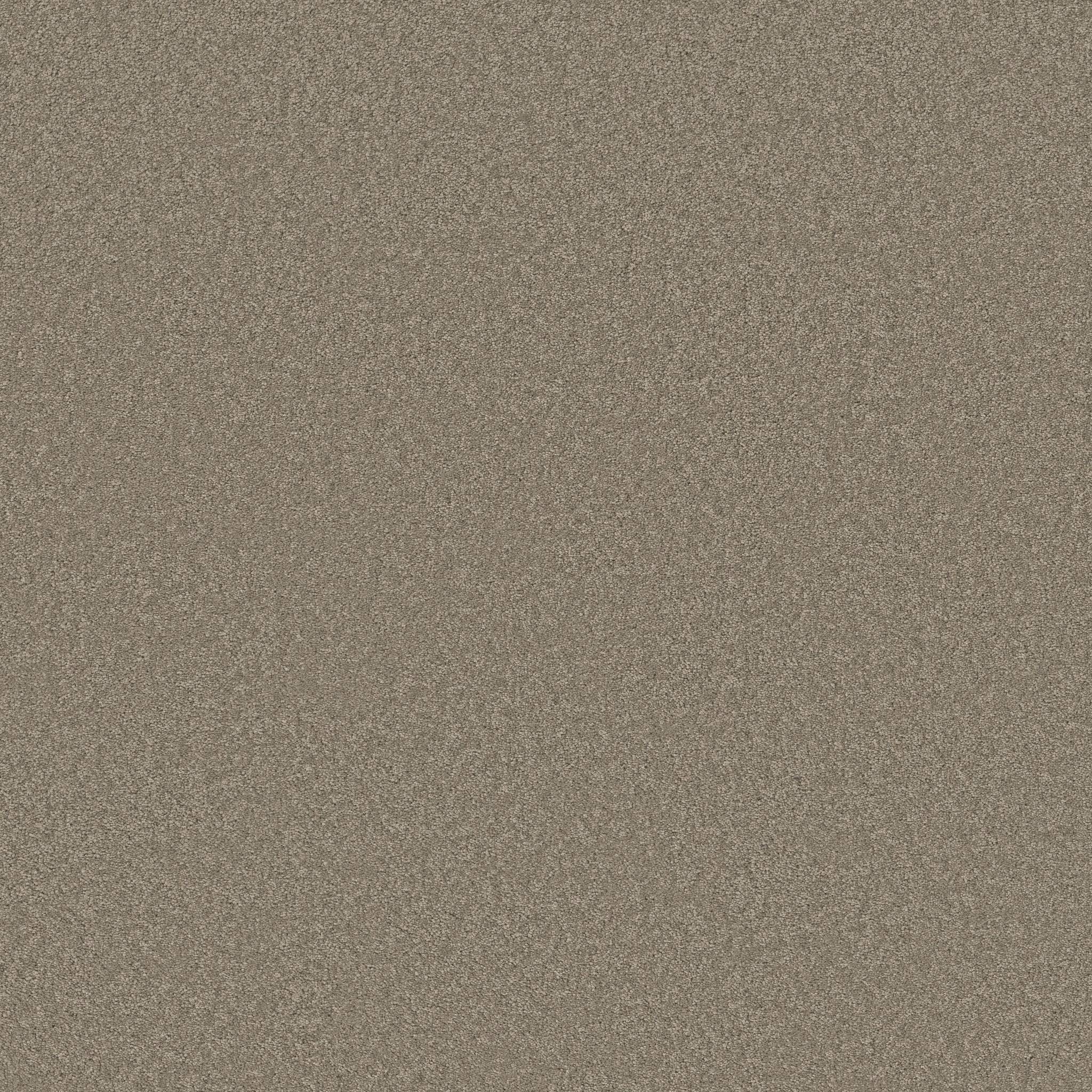 Elegant Beauty Carpet - Atmosphere Zoomed Swatch Image