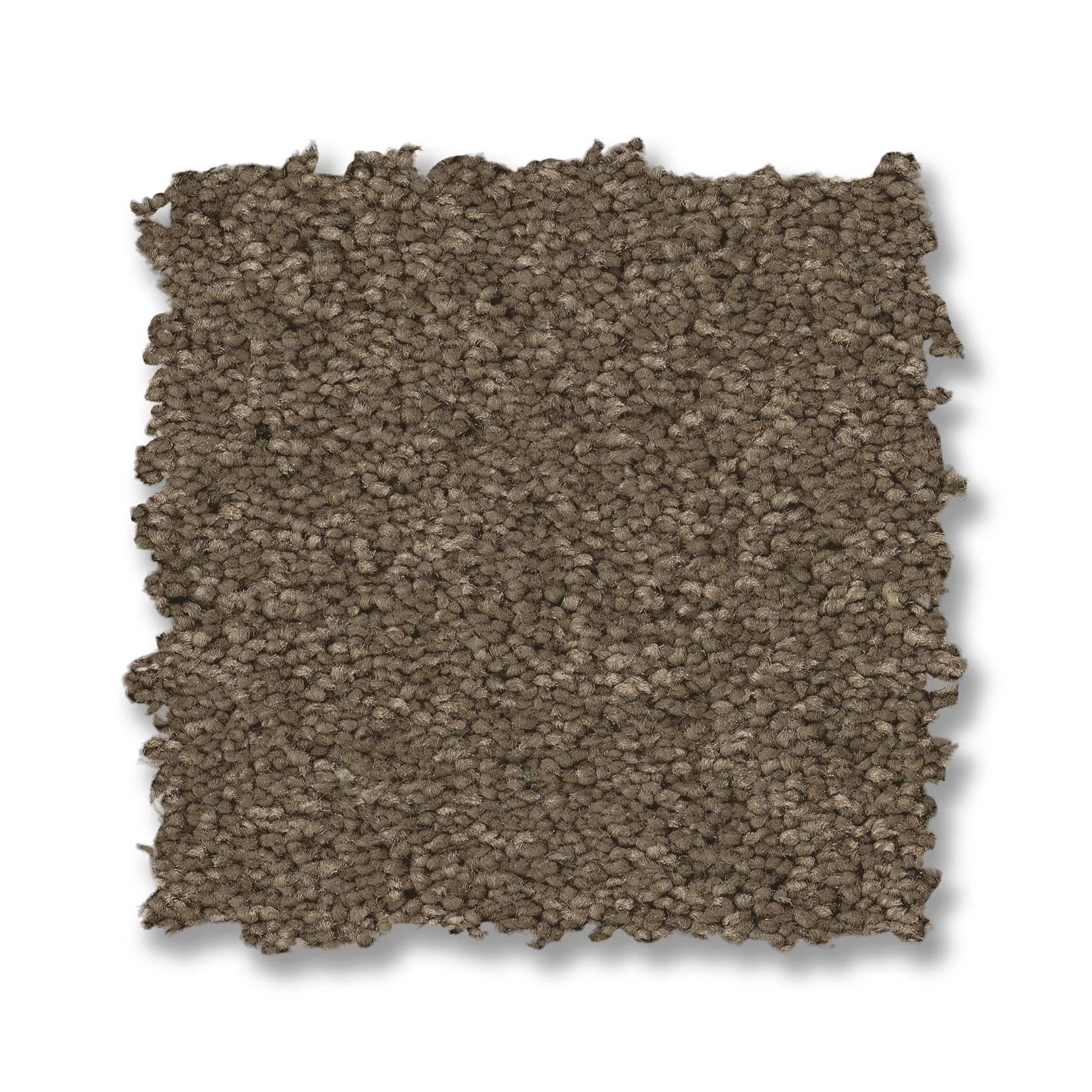 Elegant Beauty Carpet - Moonbeam Swatch Thumbnail pupop1