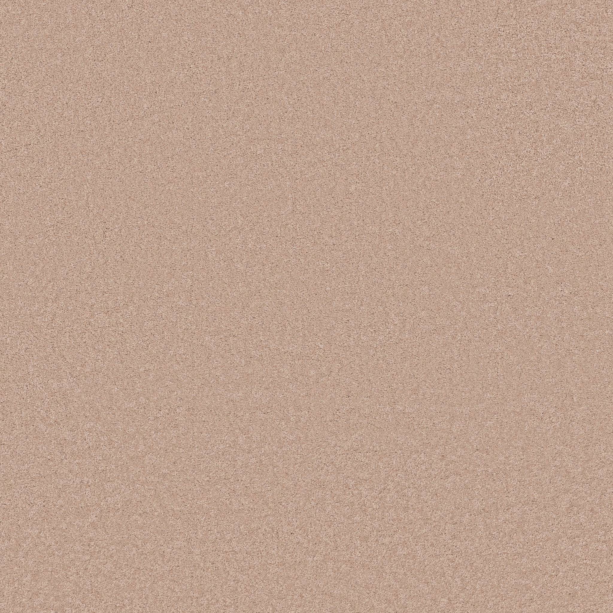 Elegant Beauty Carpet - Apricot Ice Zoomed Swatch Image
