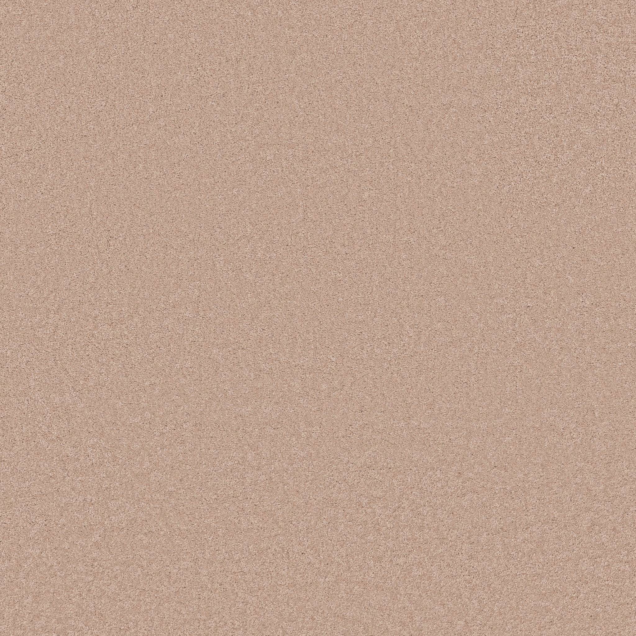 Elegant Beauty Carpet - Apricot Ice Zoomed Swatch Image