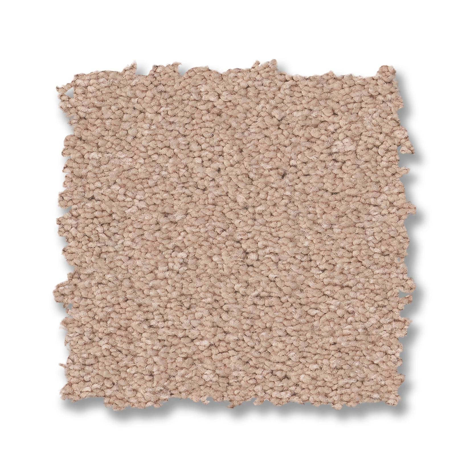 Elegant Beauty Carpet - Apricot Ice Swatch Thumbnail pupop1