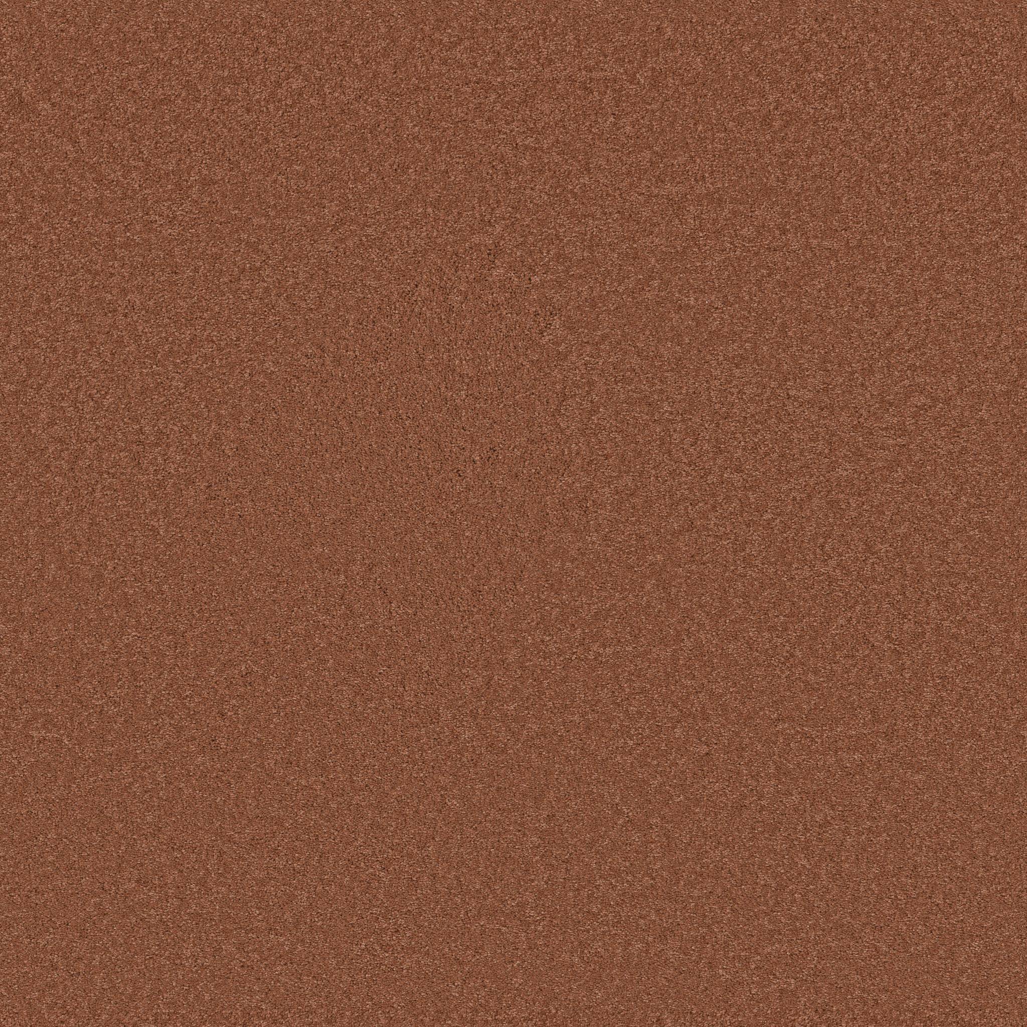 Elegant Beauty Carpet - Clay Zoomed Swatch Image