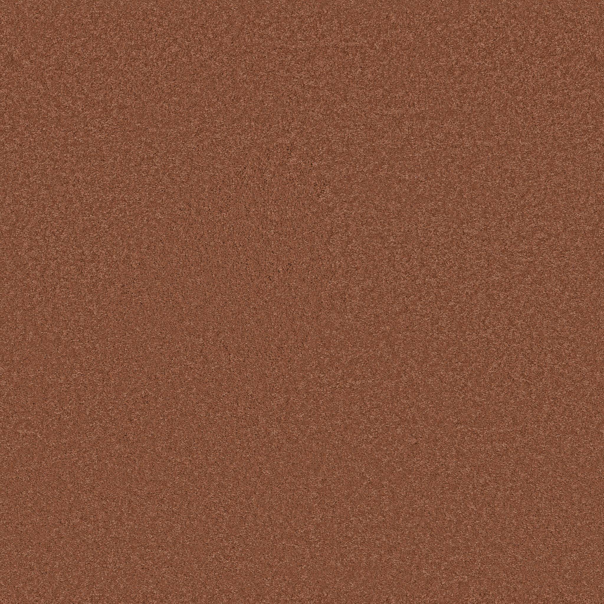 Elegant Beauty Carpet - Clay Zoomed Swatch Image