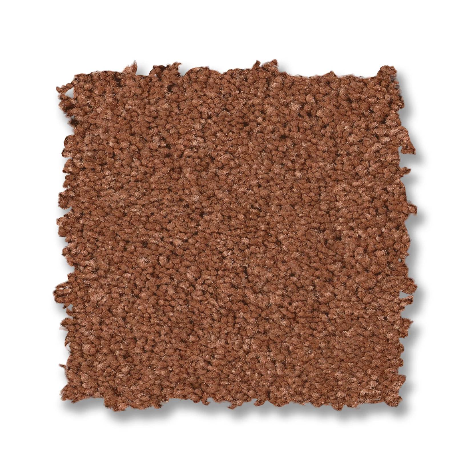 Elegant Beauty Carpet - Clay Swatch Thumbnail pupop1