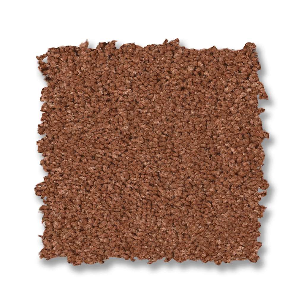 Elegant Beauty Carpet - Clay  Swatch Image 