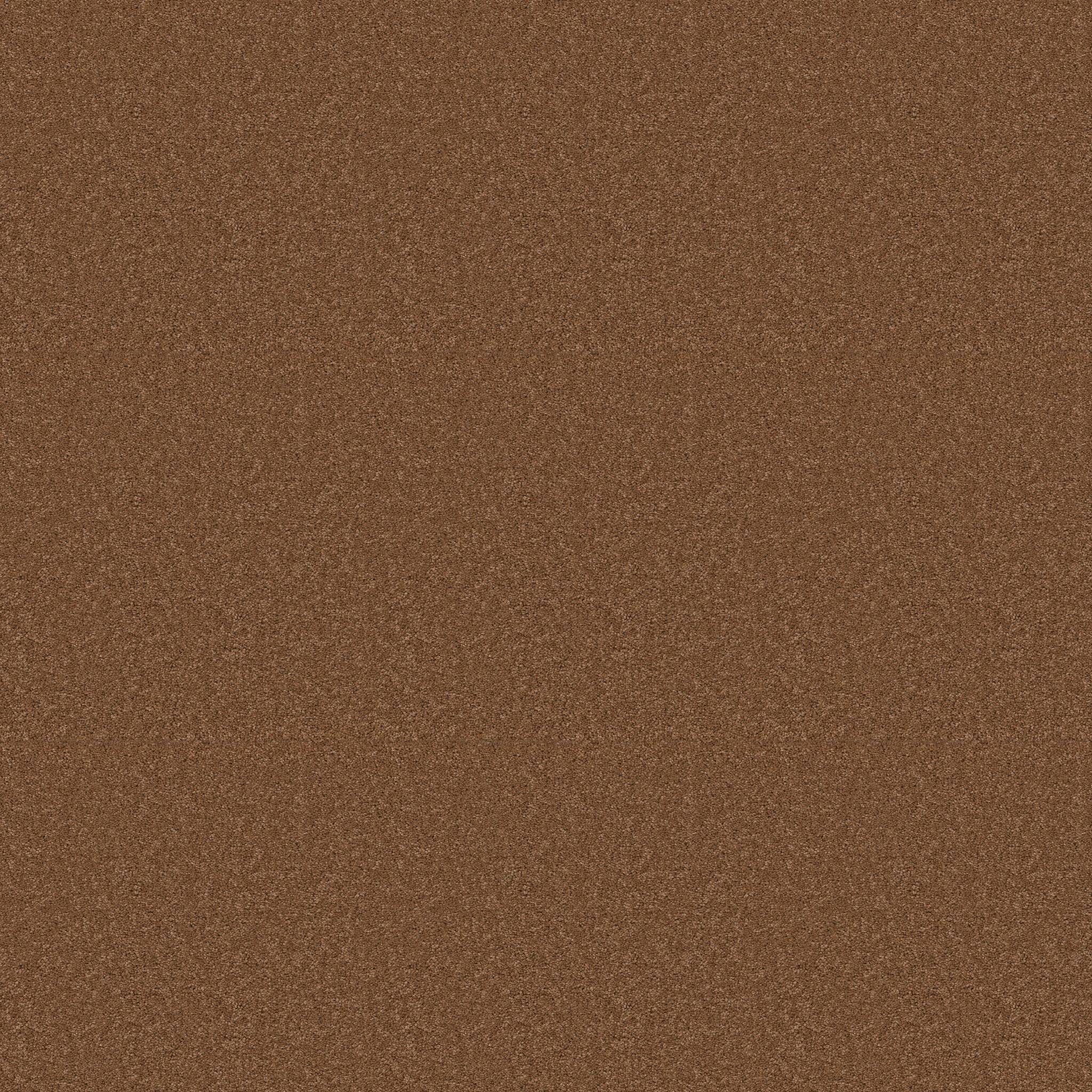 Elegant Beauty Carpet - Autumn Glaze Zoomed Swatch Image