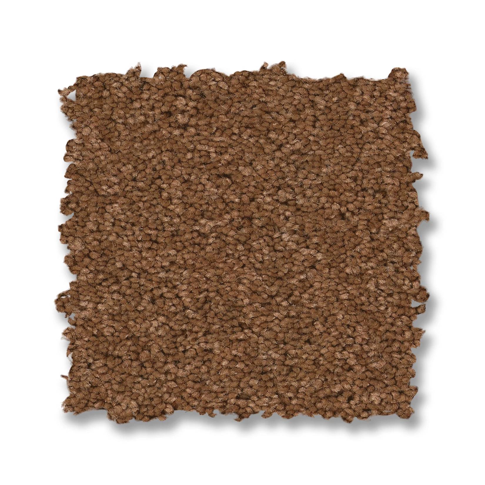 Elegant Beauty Carpet - Autumn Glaze Swatch Thumbnail pupop1