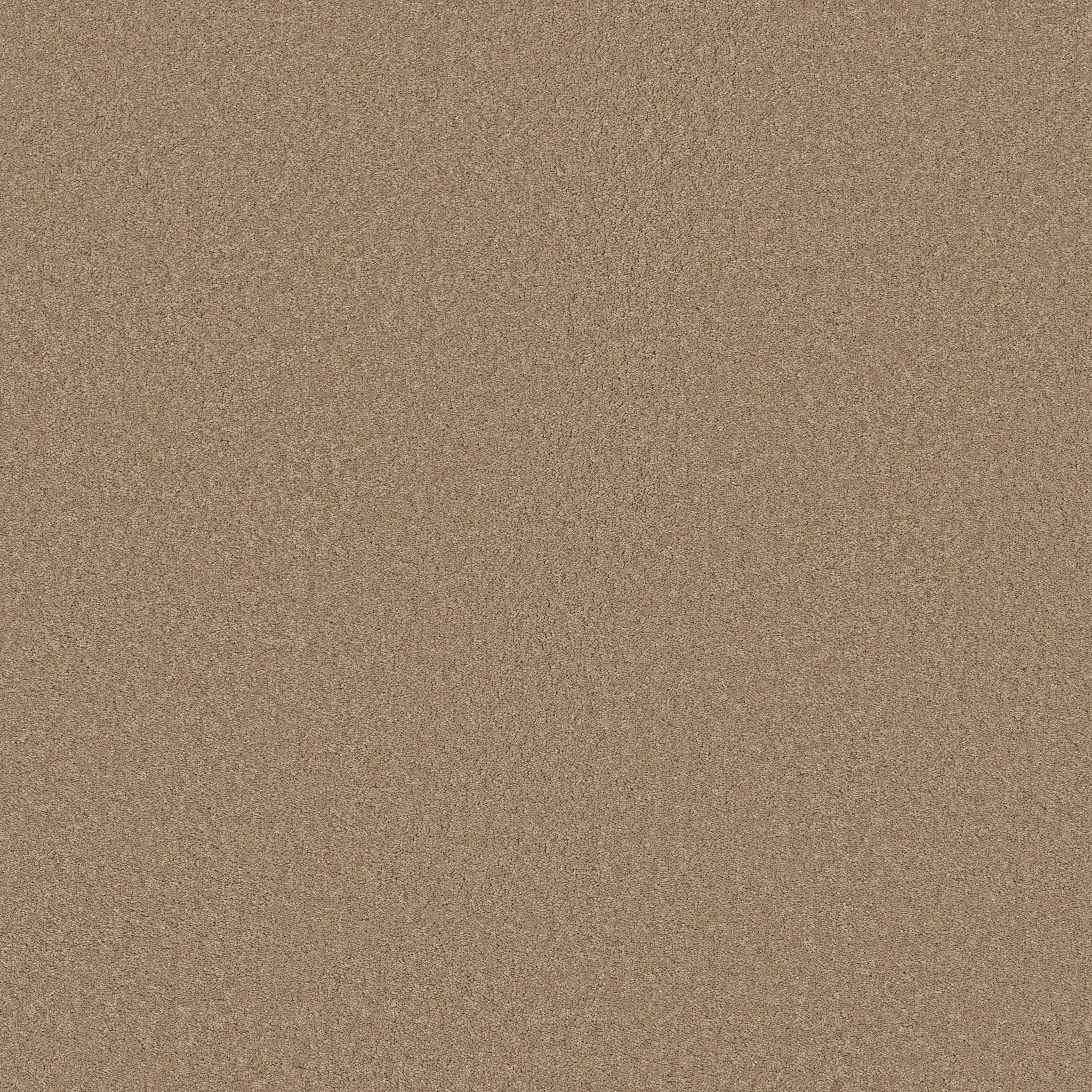 Elegant Beauty Carpet - Biscotti Zoomed Swatch Image