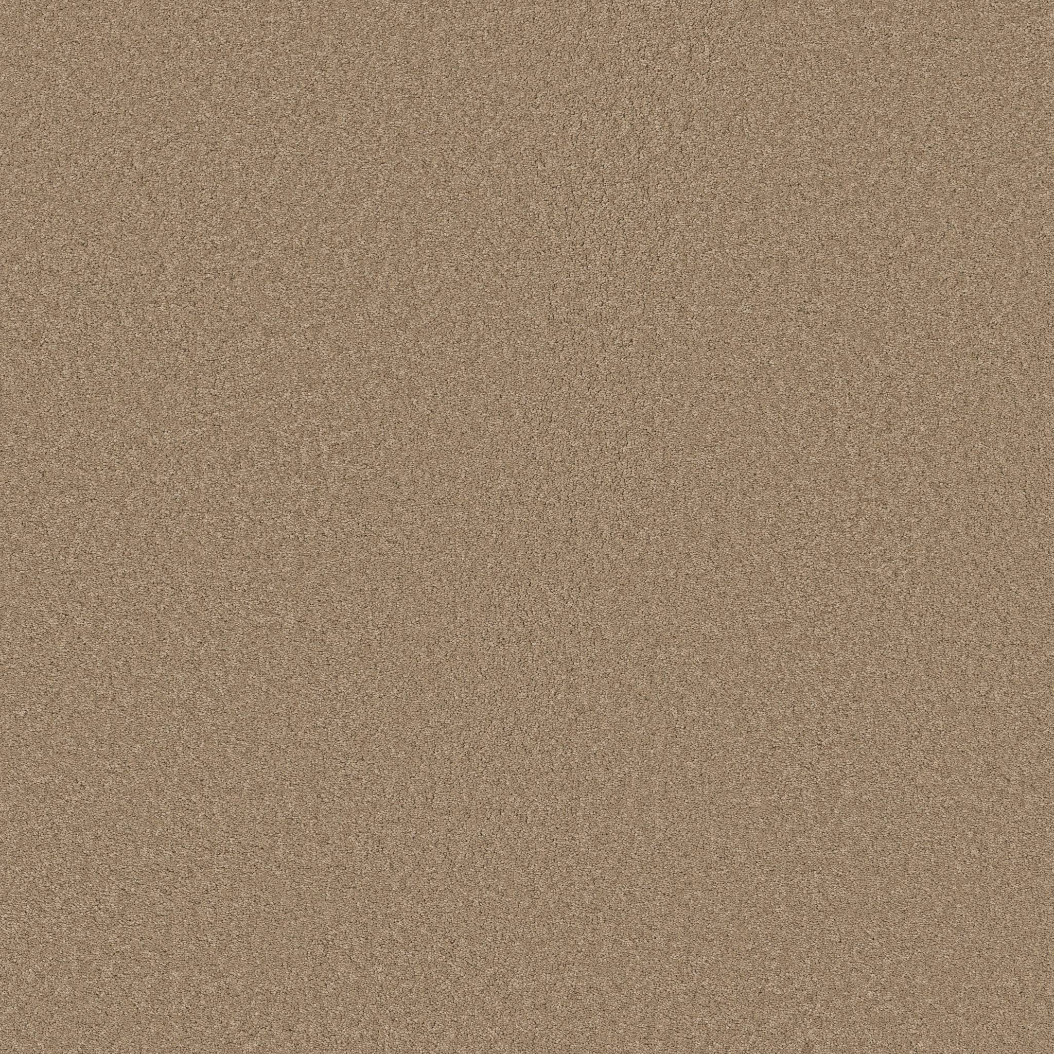 Elegant Beauty Carpet - Biscotti Zoomed Swatch Image