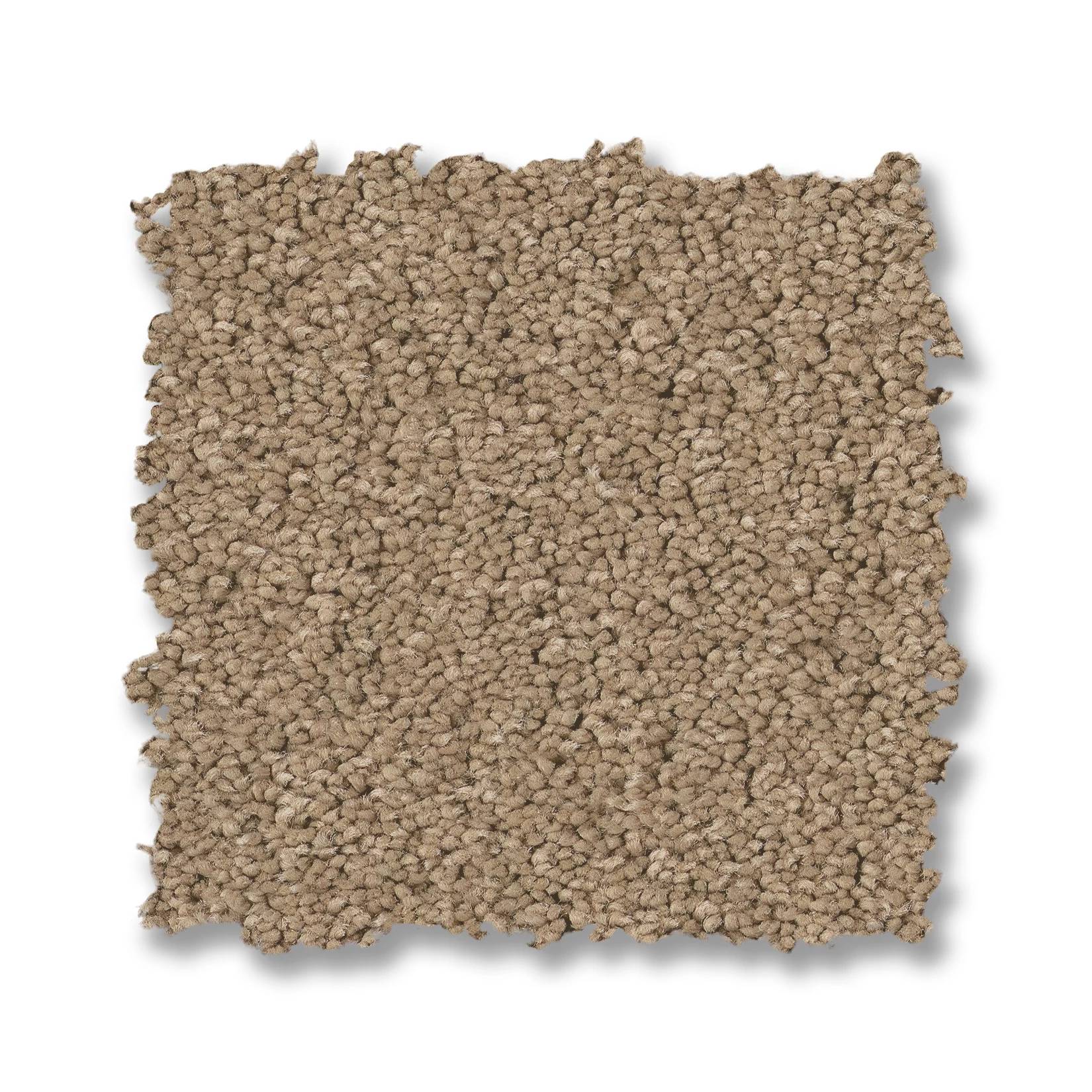 Elegant Beauty Carpet - Biscotti Swatch Thumbnail pupop1