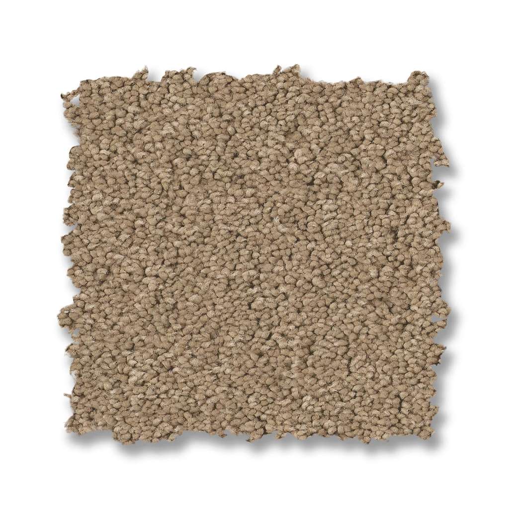 Elegant Beauty Carpet - Biscotti  Swatch Image 