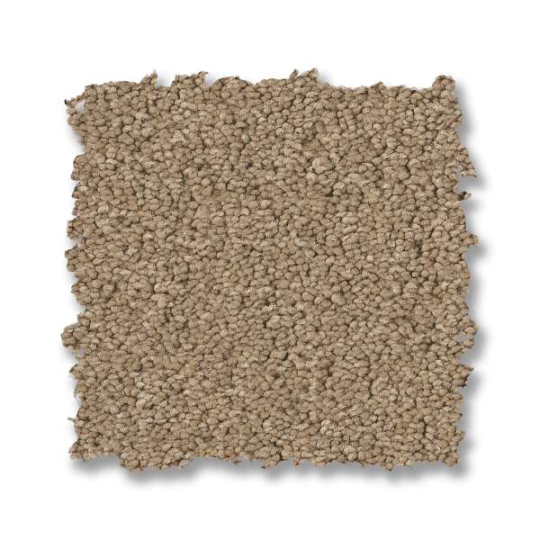 Style Elegant Beauty Carpet - Biscotti Swatch