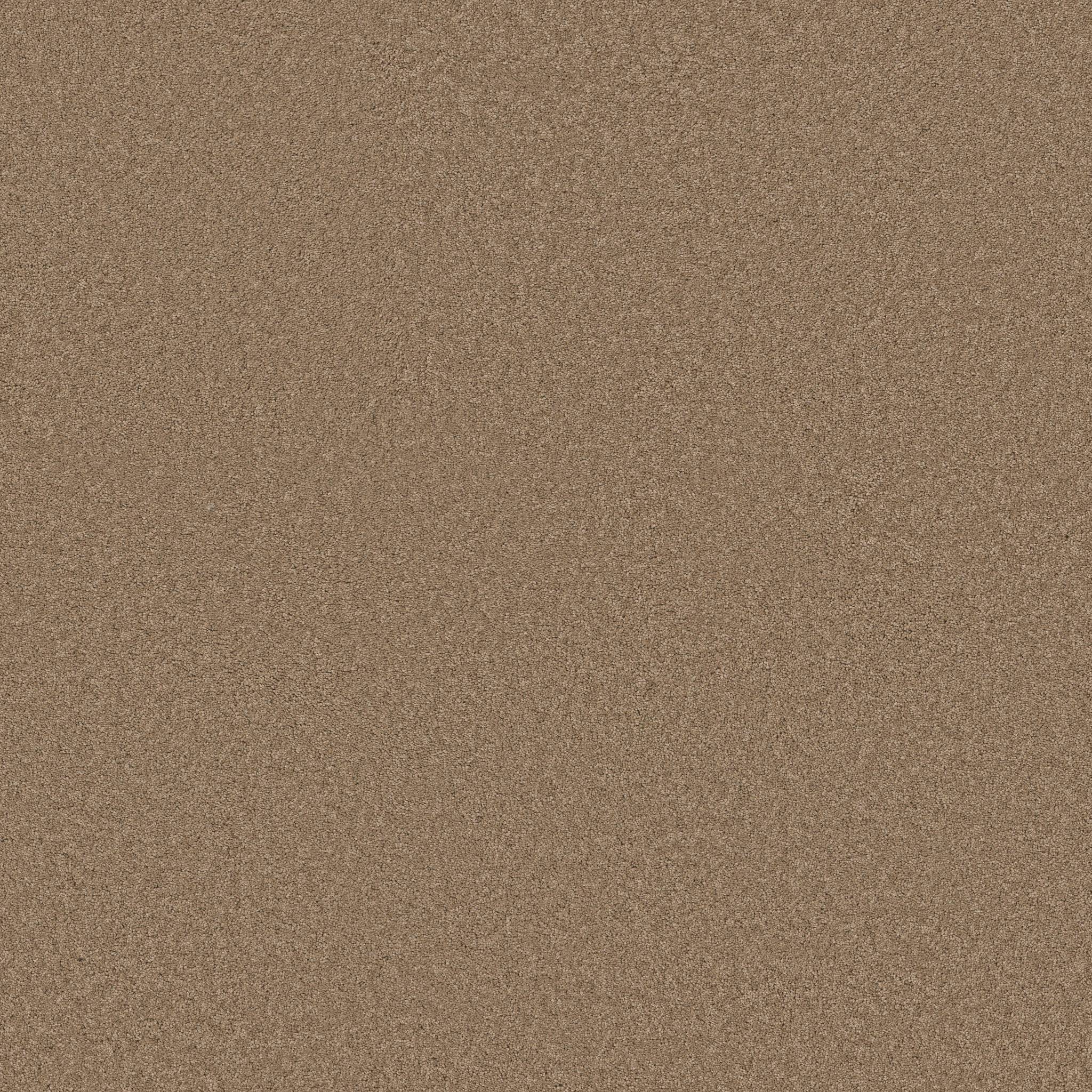 Elegant Beauty Carpet - Prairie Zoomed Swatch Image