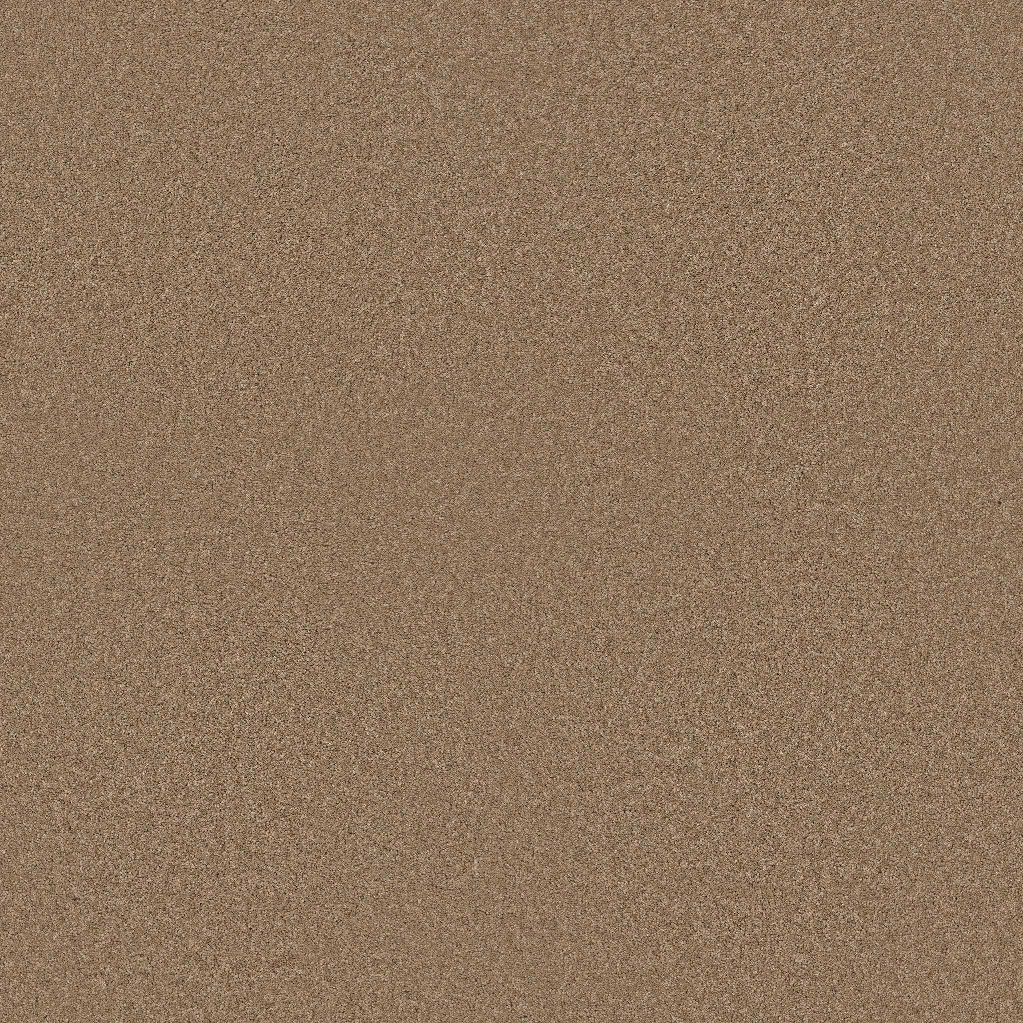 Elegant Beauty Carpet - Prairie Zoomed Swatch Image