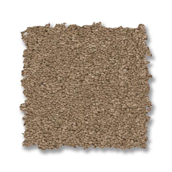 Style Elegant Beauty Carpet - Prairie Swatch