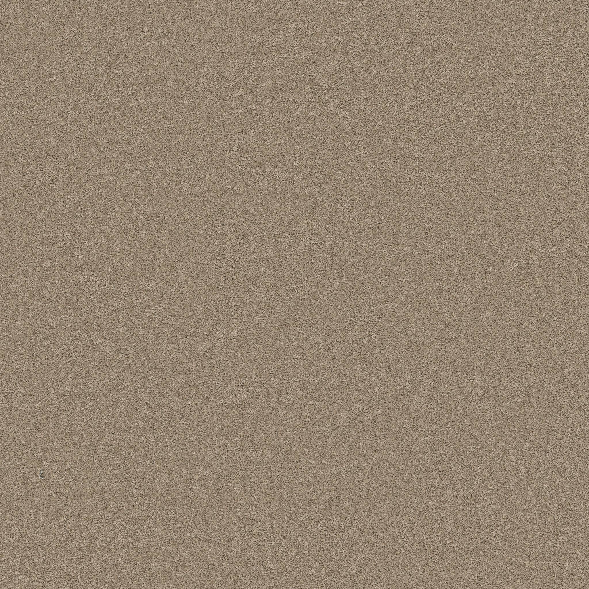 Elegant Beauty Carpet - Tuffet Zoomed Swatch Image