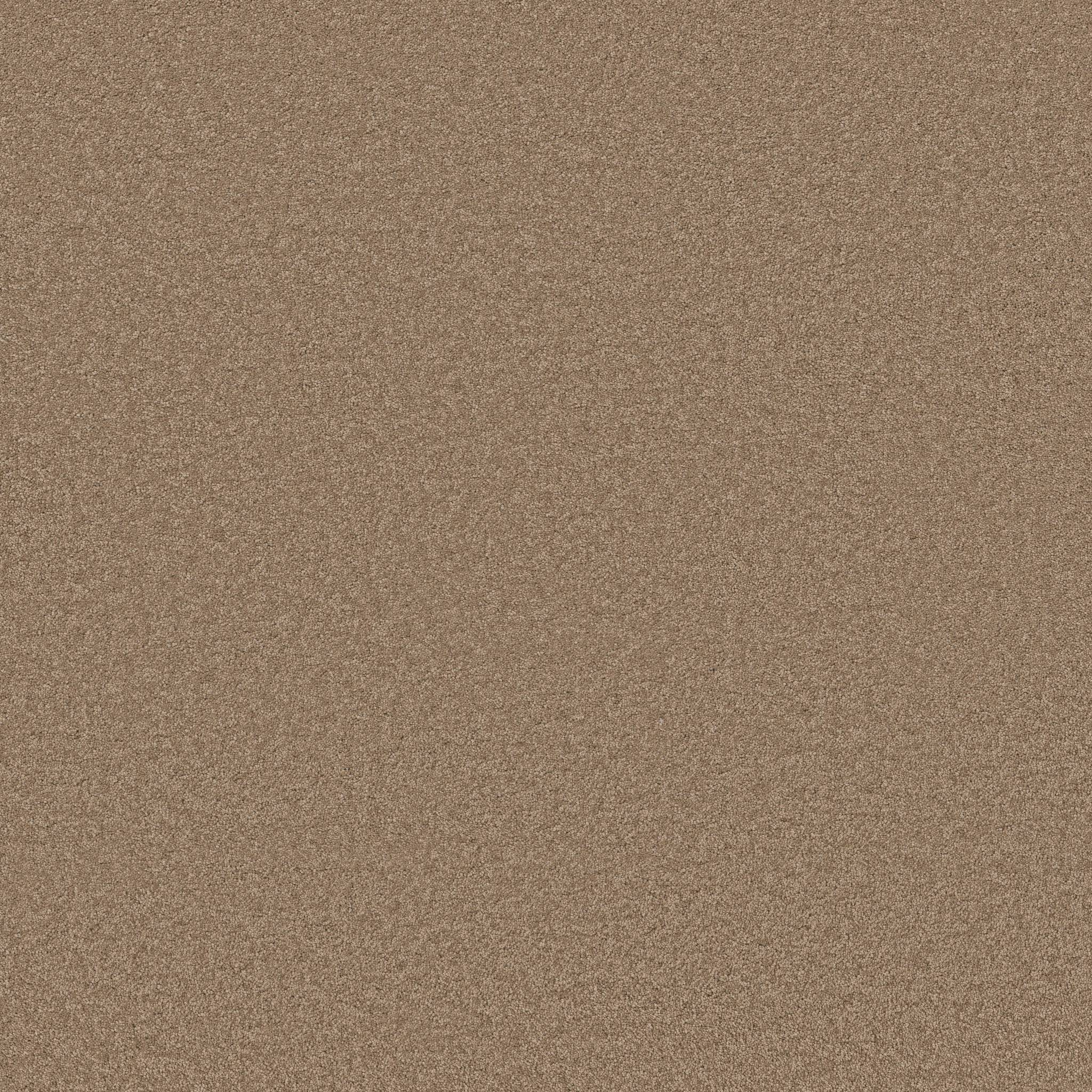 Elegant Beauty Carpet - Latte Zoomed Swatch Image