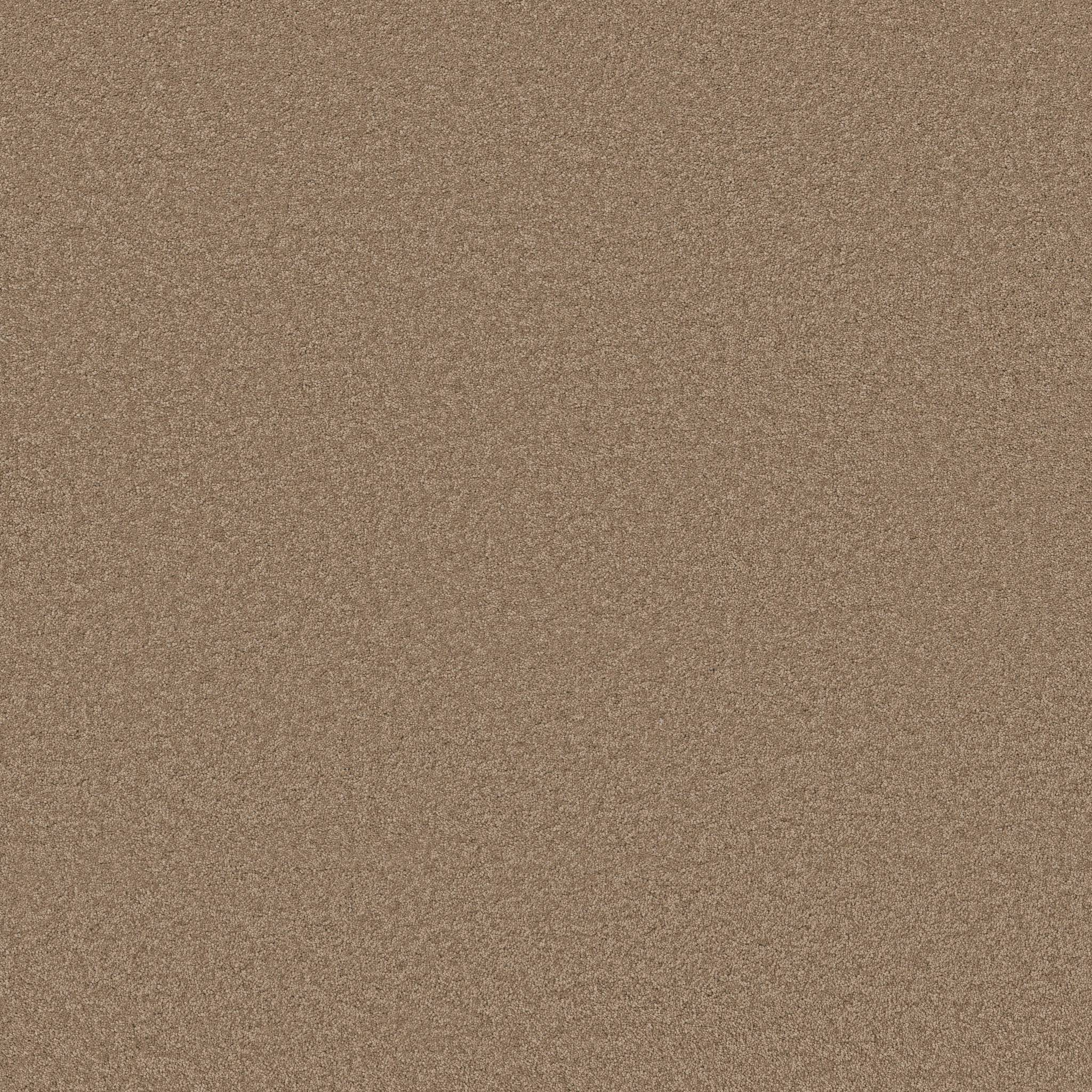 Elegant Beauty Carpet - Latte Zoomed Swatch Image