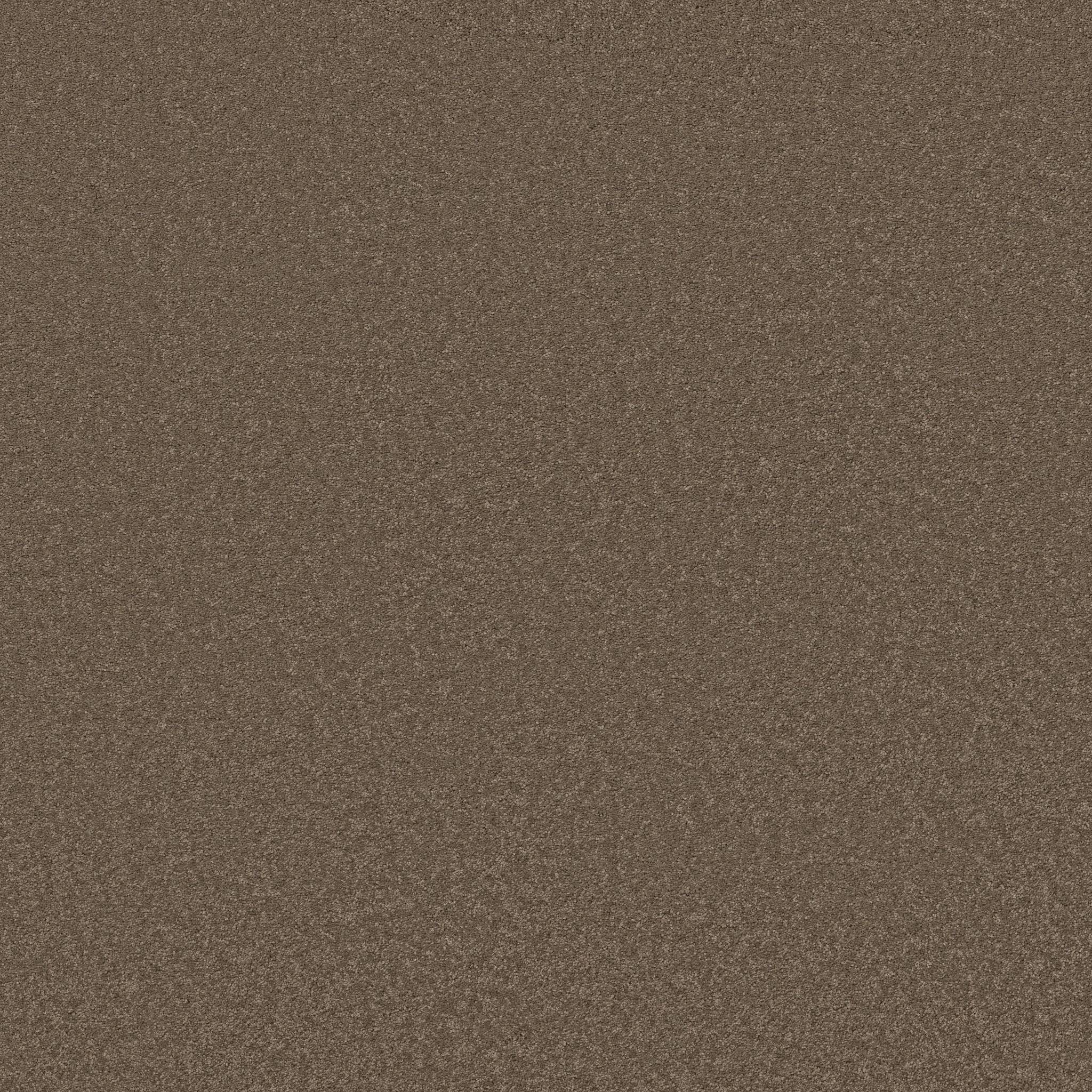 Elegant Beauty Carpet - Carafe Zoomed Swatch Image