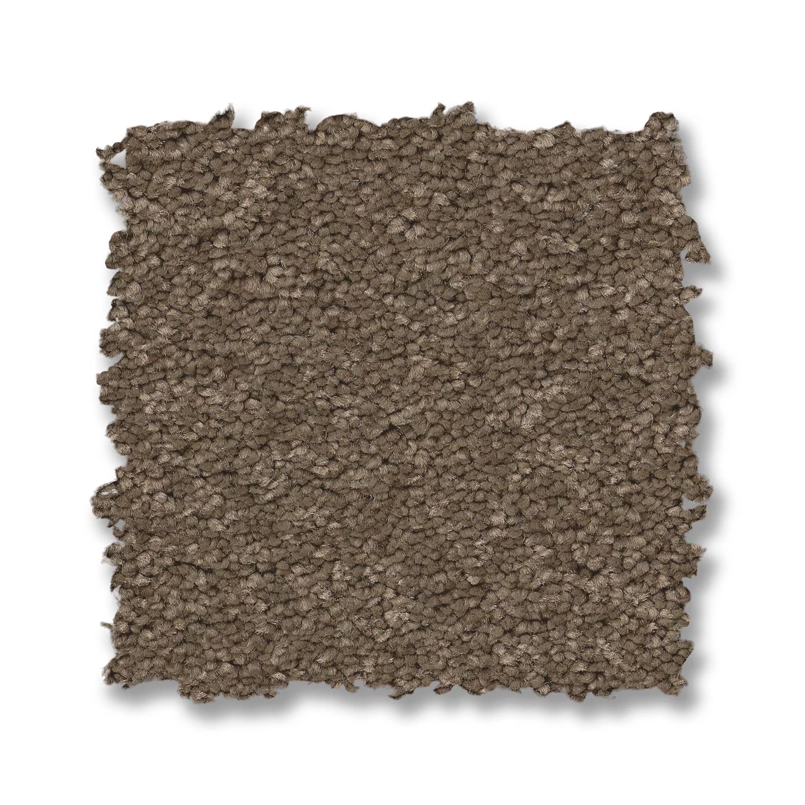 Elegant Beauty Carpet - Carafe Swatch Thumbnail pupop1