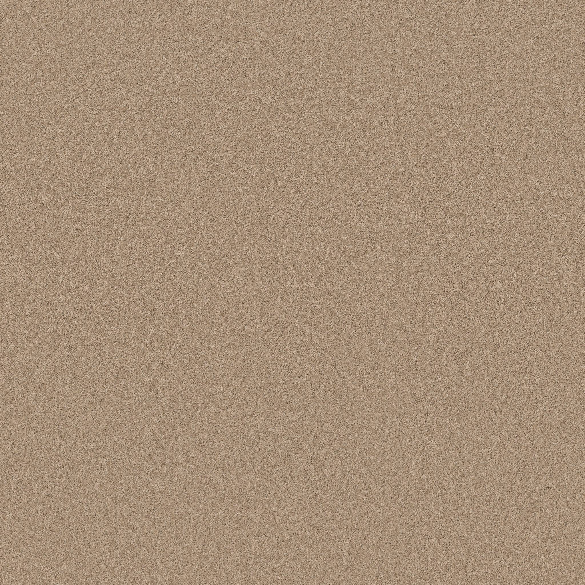 Elegant Beauty Carpet - Warm Sand Zoomed Swatch Image