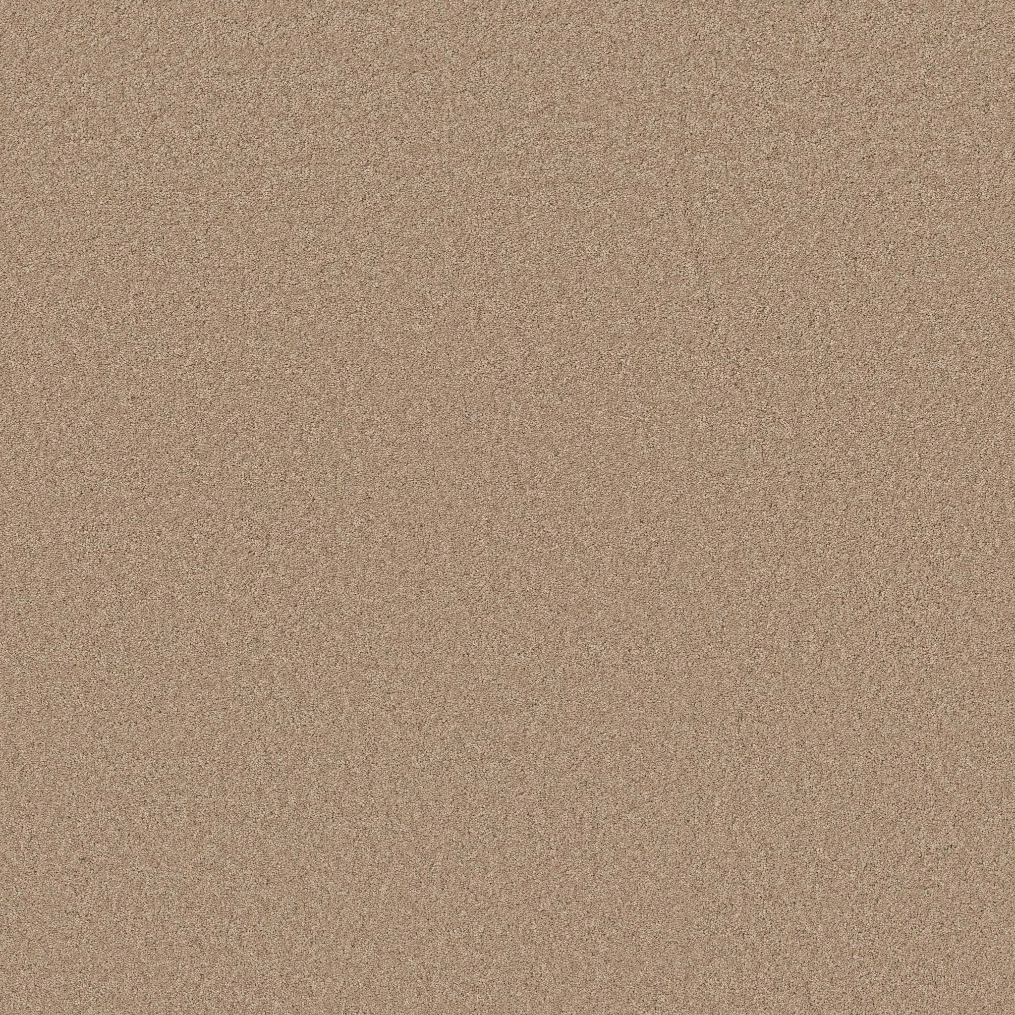 Elegant Beauty Carpet - Warm Sand Zoomed Swatch Image