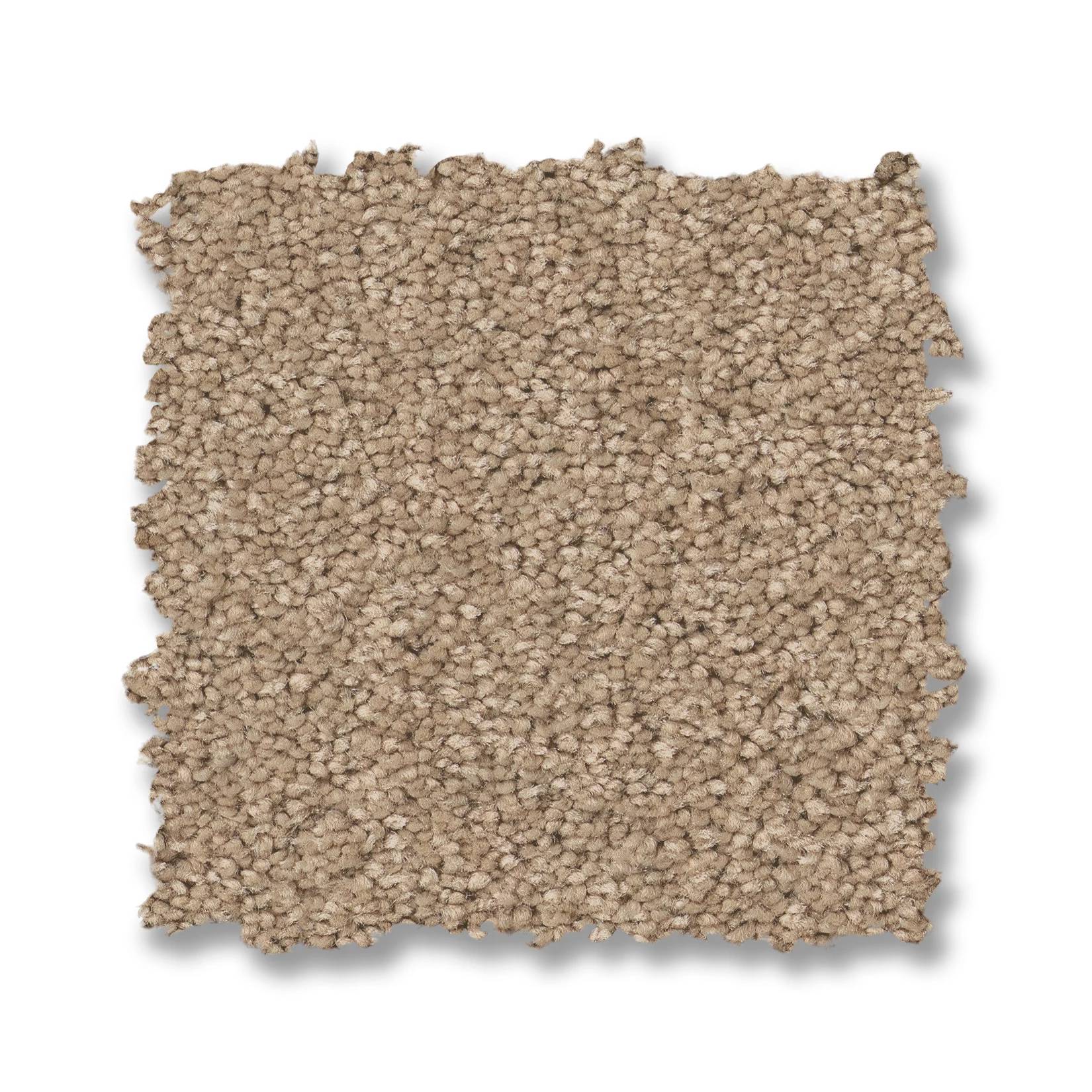 Elegant Beauty Carpet - Warm Sand Swatch Thumbnail pupop1