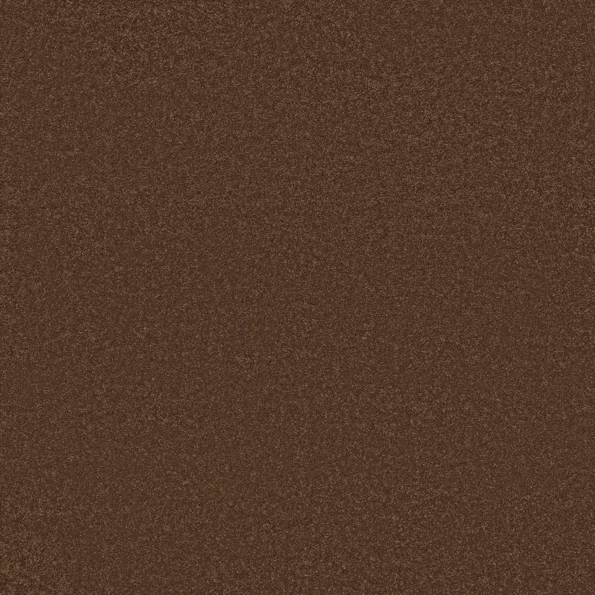 Elegant Beauty Carpet - Bronco Zoomed Swatch Image