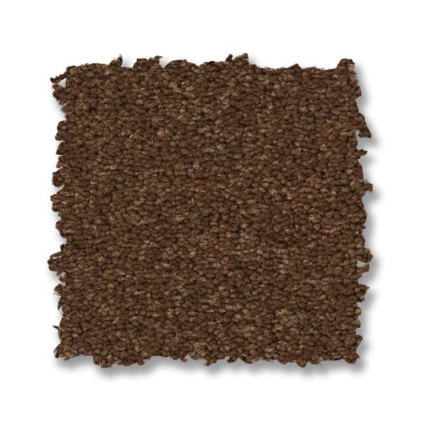 Style Elegant Beauty Carpet - Bronco Swatch