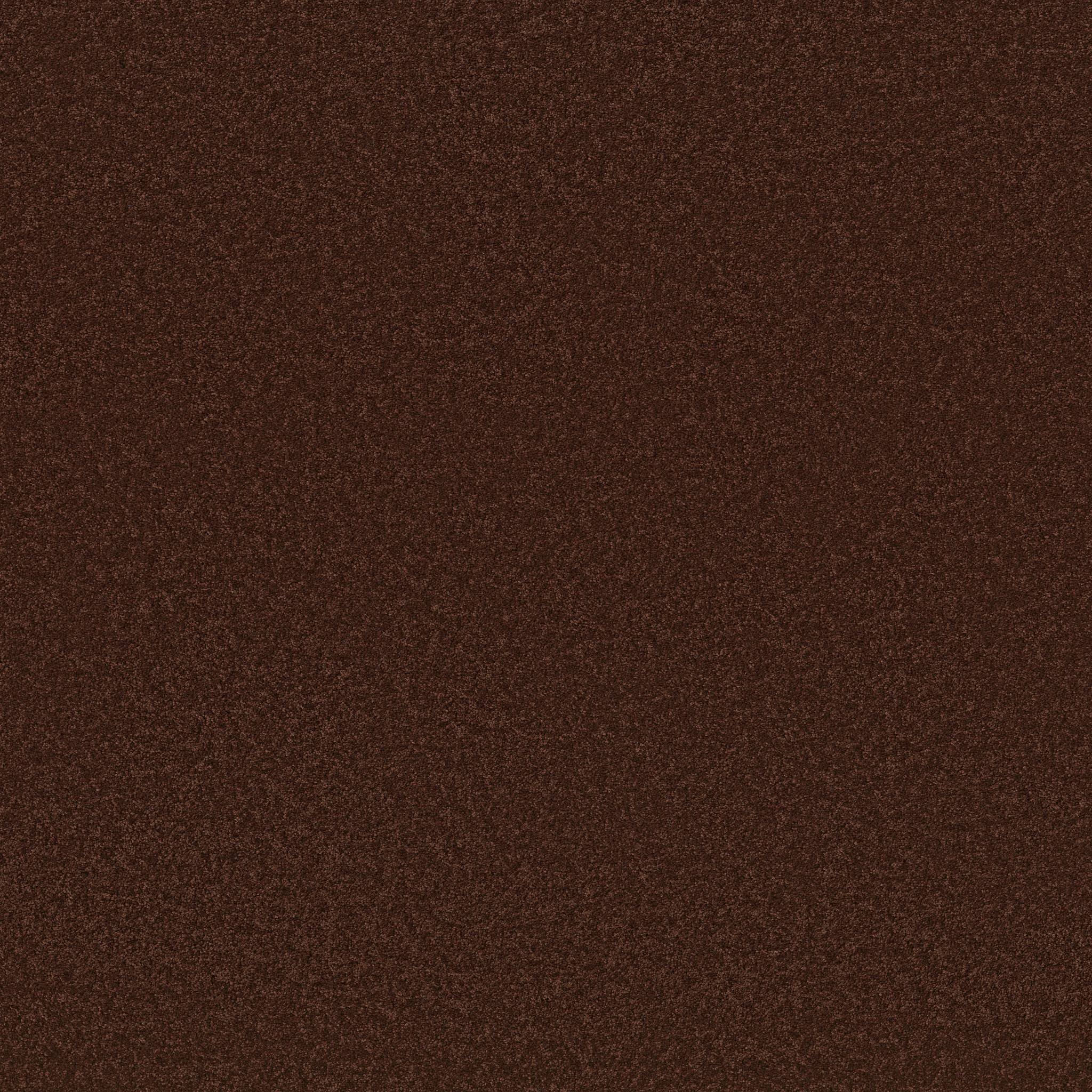 Elegant Beauty Carpet - Cinnabar Zoomed Swatch Image