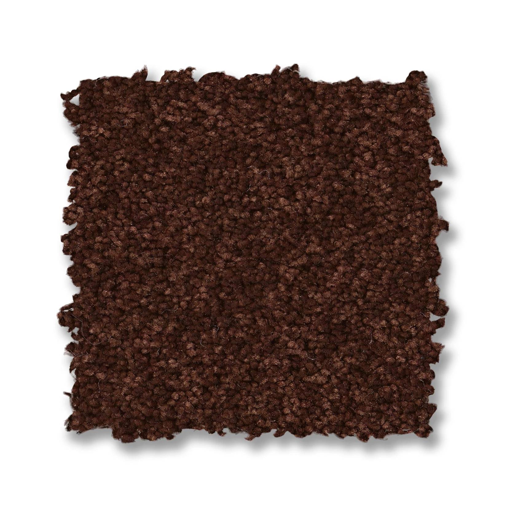 Elegant Beauty Carpet - Cinnabar Swatch Thumbnail pupop1