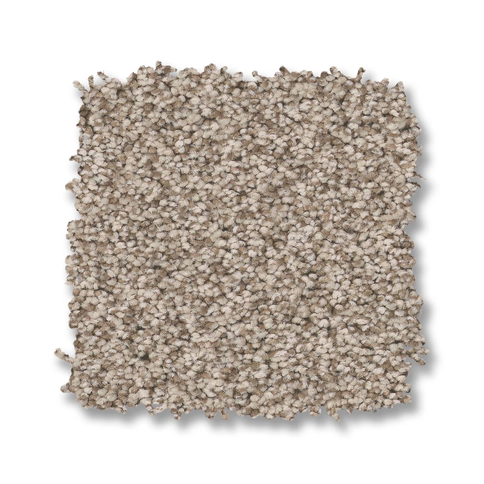 Avalon Bay Carpet - White Mocha Swatch Thumbnail pupop1