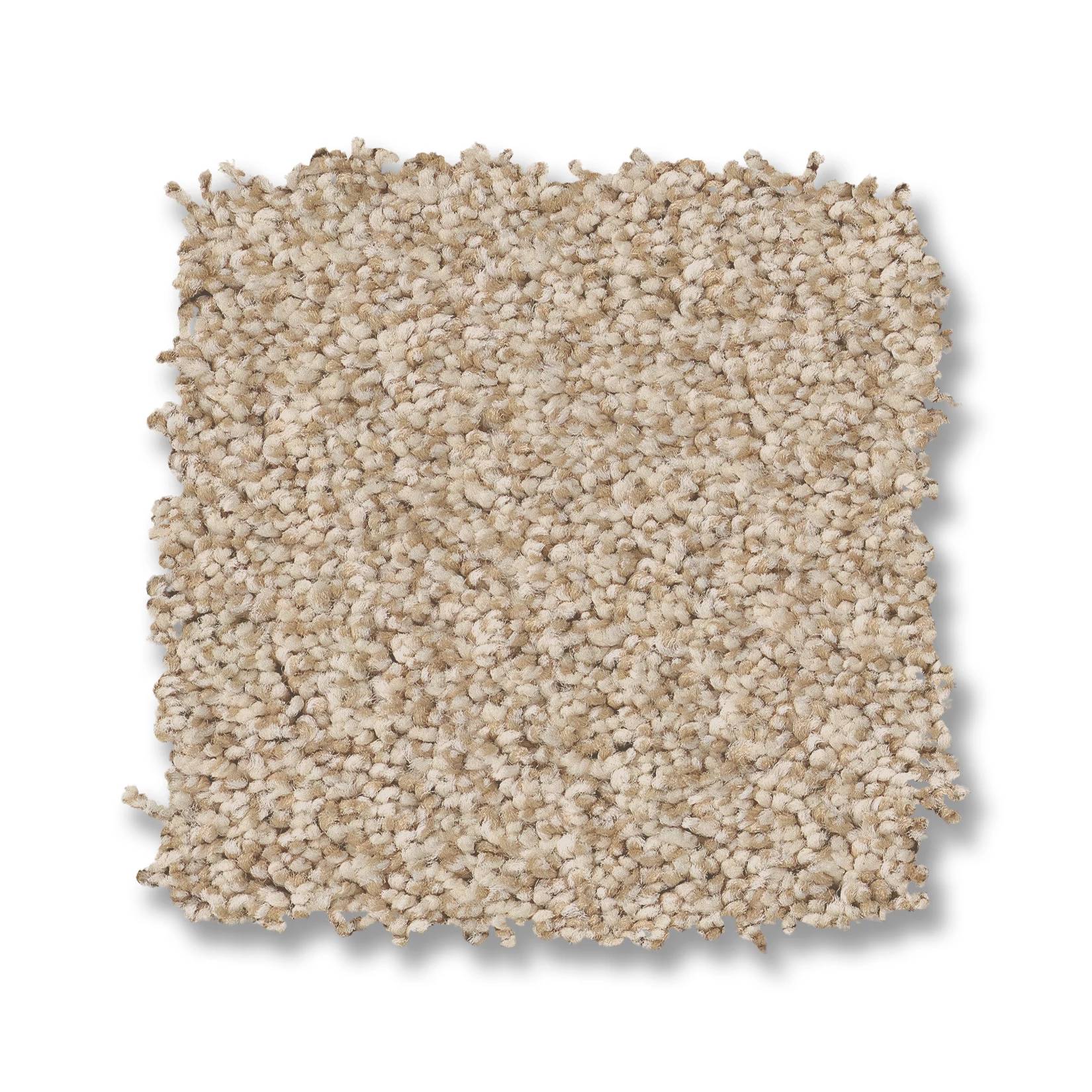 Avalon Bay Carpet - Down Home Swatch Thumbnail pupop1