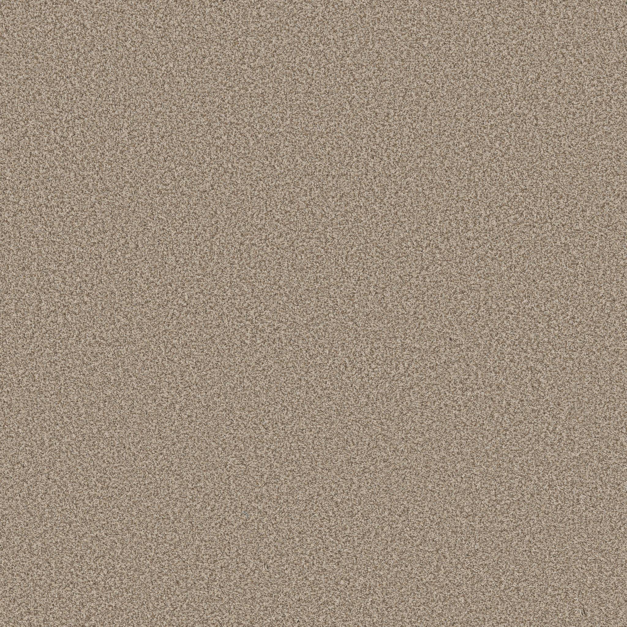 Avalon Bay Carpet - Sugar Cookie Zoomed Swatch Image