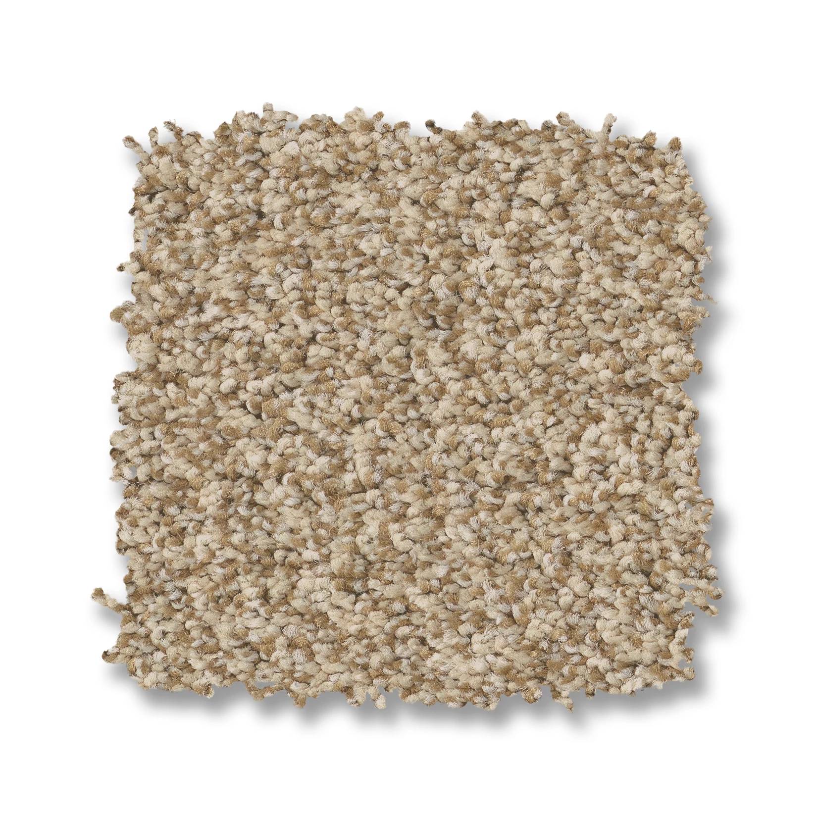 Avalon Bay Carpet - Golden Swatch Thumbnail pupop1