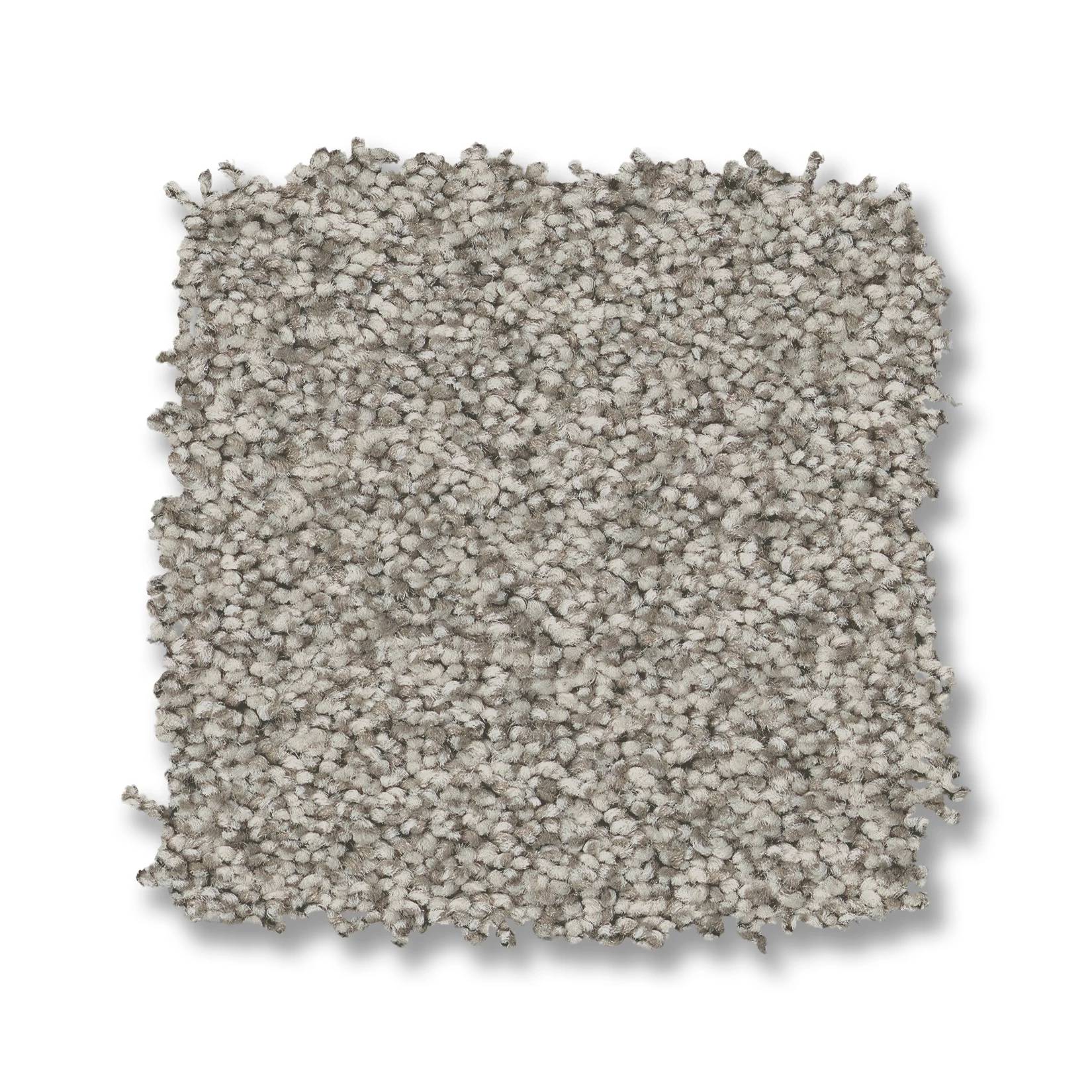 Avalon Bay Carpet - Moth Gray Swatch Thumbnail pupop1