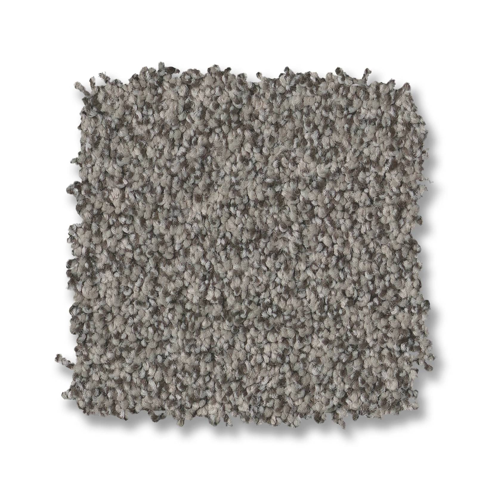 Avalon Bay Carpet - Flannel Gray Swatch Thumbnail pupop1